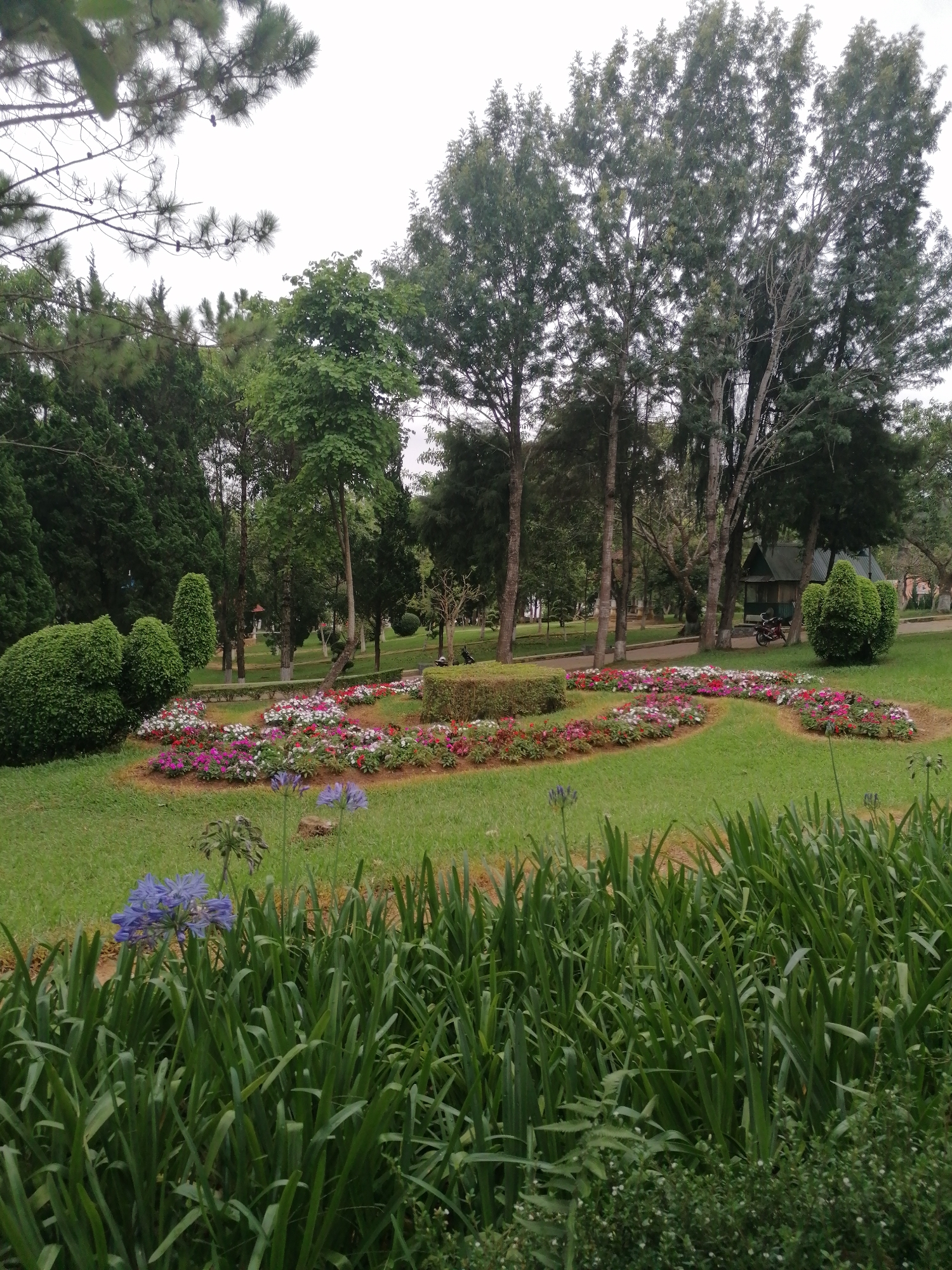 The image depicts a well-maintained garden area in Da Lat, Vietnam, with a focus on a curved flower bed filled with a variety of colorful flowers, including pink, white, and red blossoms. The flower bed is situated on a lush green lawn. In the foreground, tall green grass and some purple flowers are visible. In the background, several mature trees with dense foliage create a natural canopy. A small, wooden, A-frame building with a dark roof is visible behind the flower bed, and a red motorcycle is parked near it. The sky is overcast, indicating a cloudy day. The overall scene conveys a sense of tranquility and natural beauty, characteristic of Da Lat's many gardens and parks.