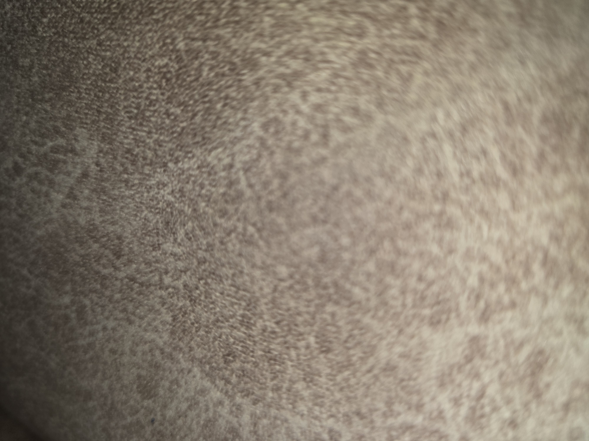 The image displays a close-up, abstract view of a textured surface. The texture appears to be granular or slightly fuzzy, with a mottled pattern of lighter and darker shades of brown and beige. The lighting is diffused, creating a soft focus effect and making it difficult to discern specific objects or a clear environment. There is no discernible indication of any specific location in the city of Ulan-Ude, Russia, nor are there any people, subjects, objects, actions, interactions, or environmental details that can be identified. The image is purely a textural close-up.