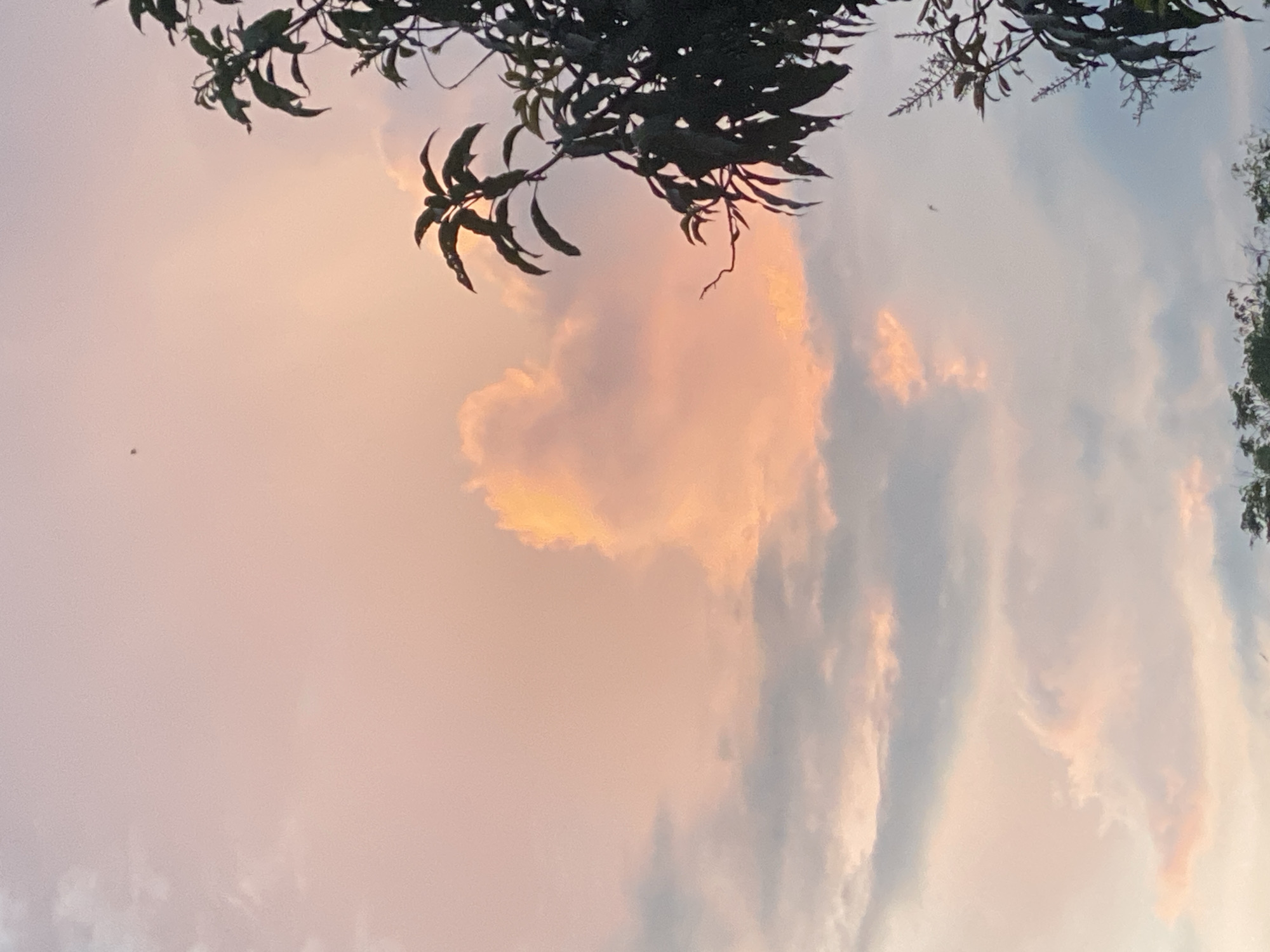 The image depicts a cloudy sky at dusk with a prominent orange-hued cloud formation in the center. Silhouetted against the sky on the right side is a tree with dark green leaves and some small flowering branches. A few other scattered clouds are visible, some appearing gray and others a lighter shade of pink. The lower portion of the image shows a darker line of foliage, suggesting trees or bushes. The scene is likely captured in Banjarbaru, Indonesia, a city known for its tropical climate and lush vegetation, which would explain the presence of the tree. The overall impression is a serene and atmospheric evening sky.