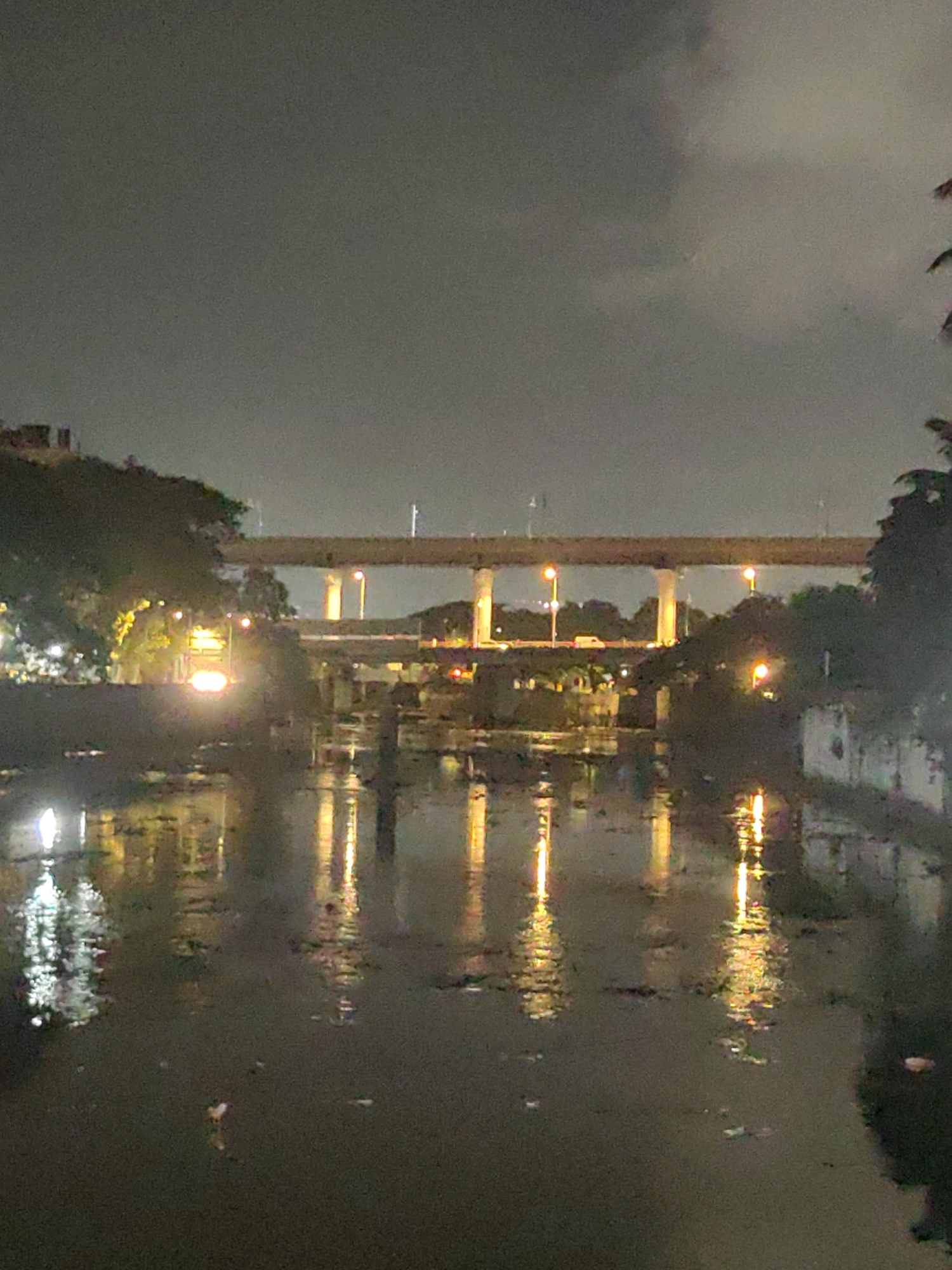 The image depicts a night scene in a city, likely Mumbai, India, characterized by heavy rain and an overhead bridge or flyover. The sky is dark and overcast, suggesting inclement weather. A wide body of water, possibly a canal or river, occupies the foreground, reflecting the lights from the cityscape. The reflections are elongated and distorted due to the ripples on the water's surface.
Along the banks of the water, there are some trees and buildings. The overhead bridge is illuminated by streetlights, casting yellow and white glows. The lights from vehicles are also visible on the bridge, suggesting ongoing traffic. The overall atmosphere is moody and somewhat melancholic, typical of a rainy night in an urban environment. There are no visible people or animals in the frame. The image captures the interplay of light and water during a downpour, highlighting the urban infrastructure against the natural element of rain.