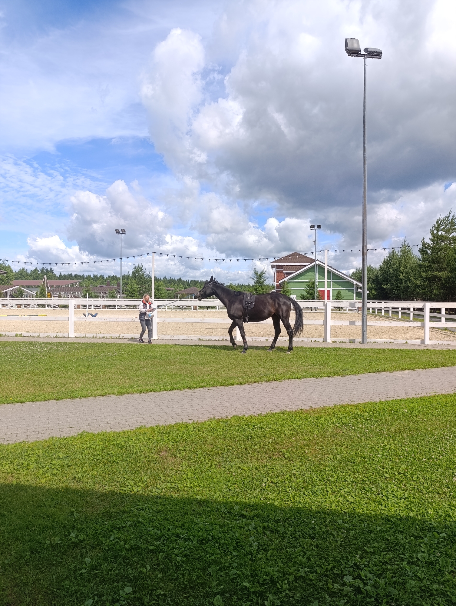 An outdoor shot captures a dark horse walking in a sandy equestrian arena. A woman, dressed in a light-colored vest and dark pants, stands near the horse, holding a white object. The arena is enclosed by a white fence, and beyond it, a green building with a brown roof is visible. A tall light post with two lamps stands to the right of the frame, and trees line the background. The sky above is filled with a mix of white and gray clouds. The foreground features a paved walkway and a grassy area.