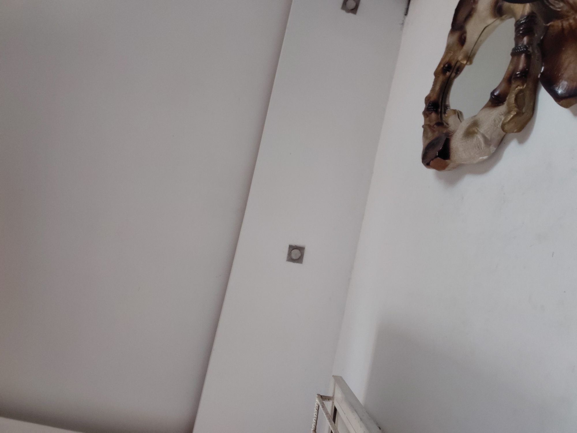 This image depicts a brightly lit interior space, likely a hallway or stairwell, within a building in Santa Ana, Venezuela. The dominant features are crisp white walls and a white ceiling, creating a clean and uncluttered environment.
In the upper right portion of the frame, a distinctive decorative piece is mounted on the wall. It appears to be a mirror with an elaborate, organic-shaped frame, possibly crafted from wood or resin, resembling animal antlers or a stylized animal head, rendered in shades of brown, beige, and darker accents.
A prominent vertical white beam or wall section runs through the center of the image, where two square, recessed light fixtures are embedded, suggesting a modern lighting design. A third, partially visible fixture is seen at the top edge. At the very bottom right, a small portion of a white, possibly metal, railing or banister is visible, indicating the presence of a staircase or an elevated section of the building.
The photograph is taken from a low angle, looking upwards, emphasizing the height of the space. There are no people or discernible activities taking place. The lighting is uniform, suggesting either ambient natural light or consistent artificial illumination. No visible text or explicit time-of-day cues are present. The overall impression is one of modern simplicity with a touch of decorative flair.