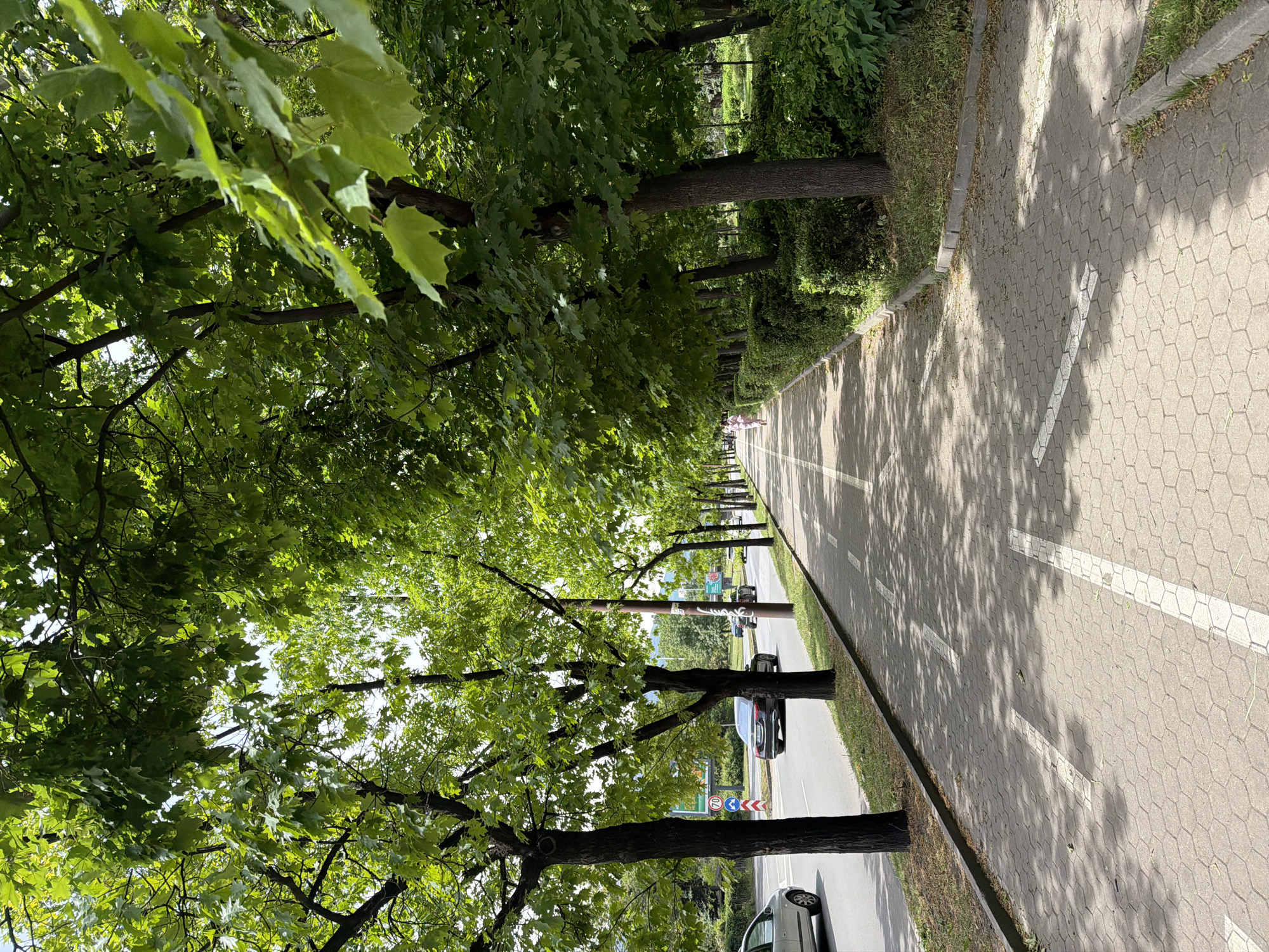 The image shows a street in Sofia, Bulgaria. A tree-lined walkway runs alongside the road, shaded by lush green foliage. A car is parked along the street. A few people can be seen walking in the distance. The walkway is paved with interlocking blocks.