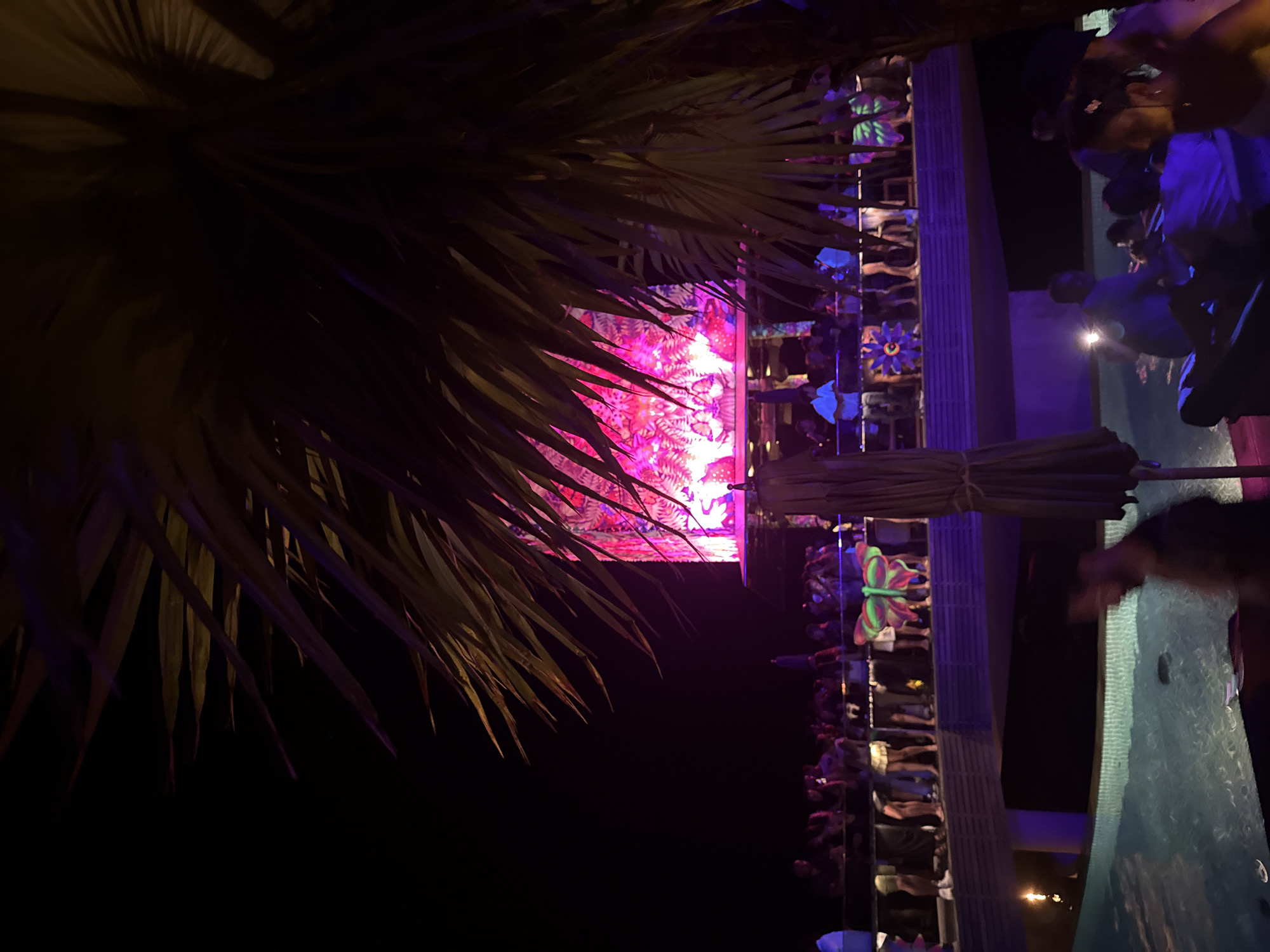 Captured at night in Kuta Selatan, Indonesia, the image shows a vibrant outdoor event, possibly a pool party. A large screen displays pink abstract patterns, partially obscured by palm fronds. Along the edge of a lit-up wall adorned with butterfly decorations, many people are visible, some interacting near a pool. Some people are swimming, while others are standing around with light coming from mobile phones.