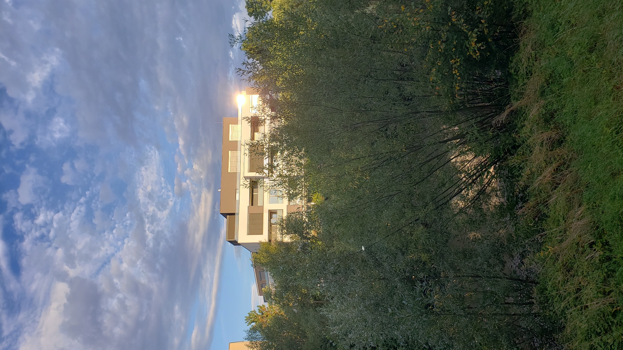 The image depicts a modern apartment building partially obscured by dense green foliage and trees, situated in the city of Prešov, Slovakia. The sky above is a dynamic mix of blue and white clouds, with the setting sun creating a bright glare on the windows and facade of the building. The foreground is dominated by tall green grass and various types of vegetation, suggesting a natural or park-like setting adjacent to the urban development. The architecture of the building features clean lines, a mix of white and grey exteriors, and multiple balconies. The lighting indicates it is late afternoon or early evening.