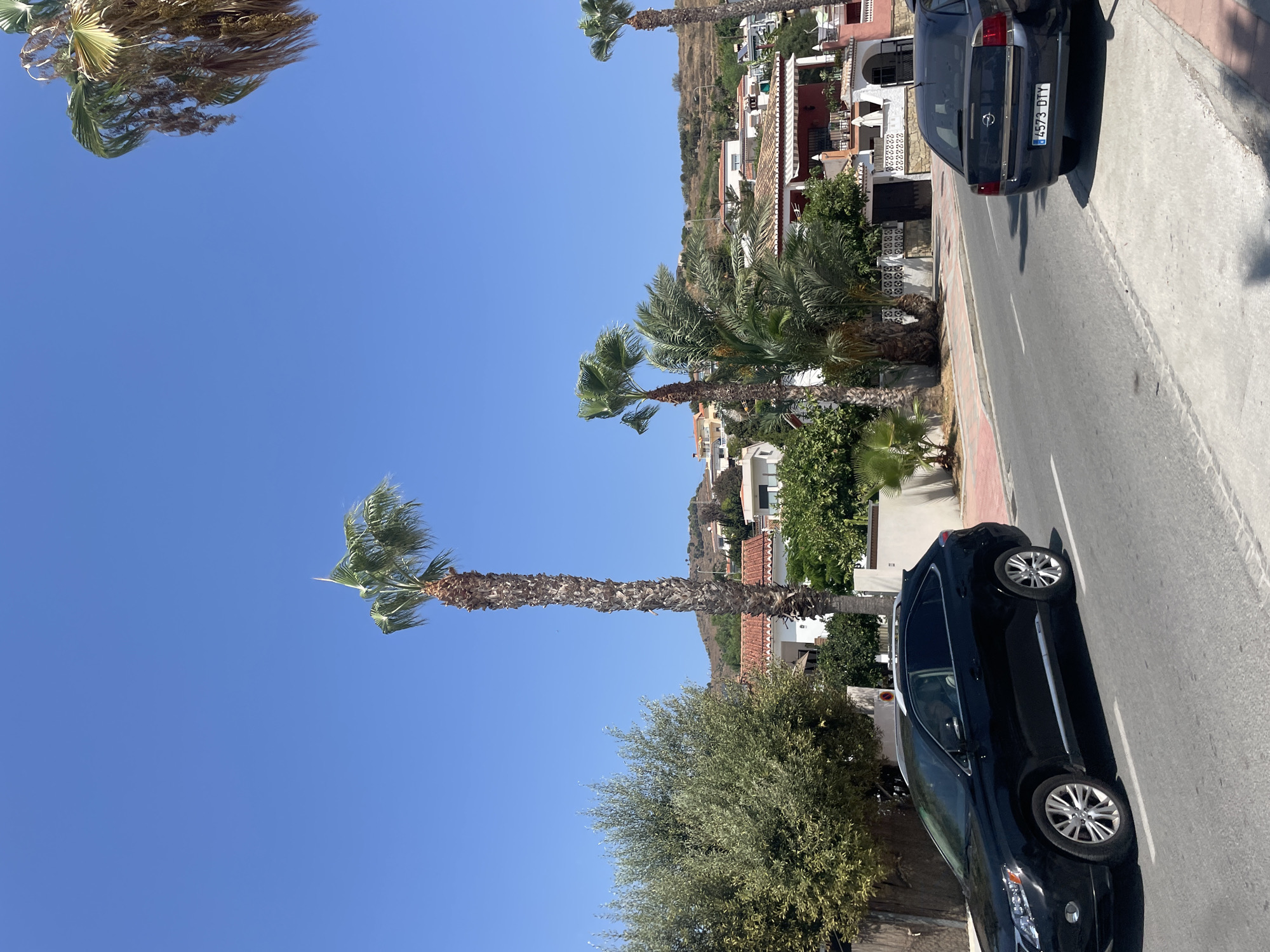 A black Lexus SUV is parked on the right side of a paved road in Almuñécar, Spain. The car is facing forward and is positioned partially on the sidewalk. In the background, several houses with red tile roofs are visible on a hillside. Palm trees and other lush green vegetation are scattered throughout the scene. The sky is clear and blue. A dark-colored sedan is parked further down the road on the right, with its license plate visible. The environment appears to be a residential street in a warm, sunny climate.