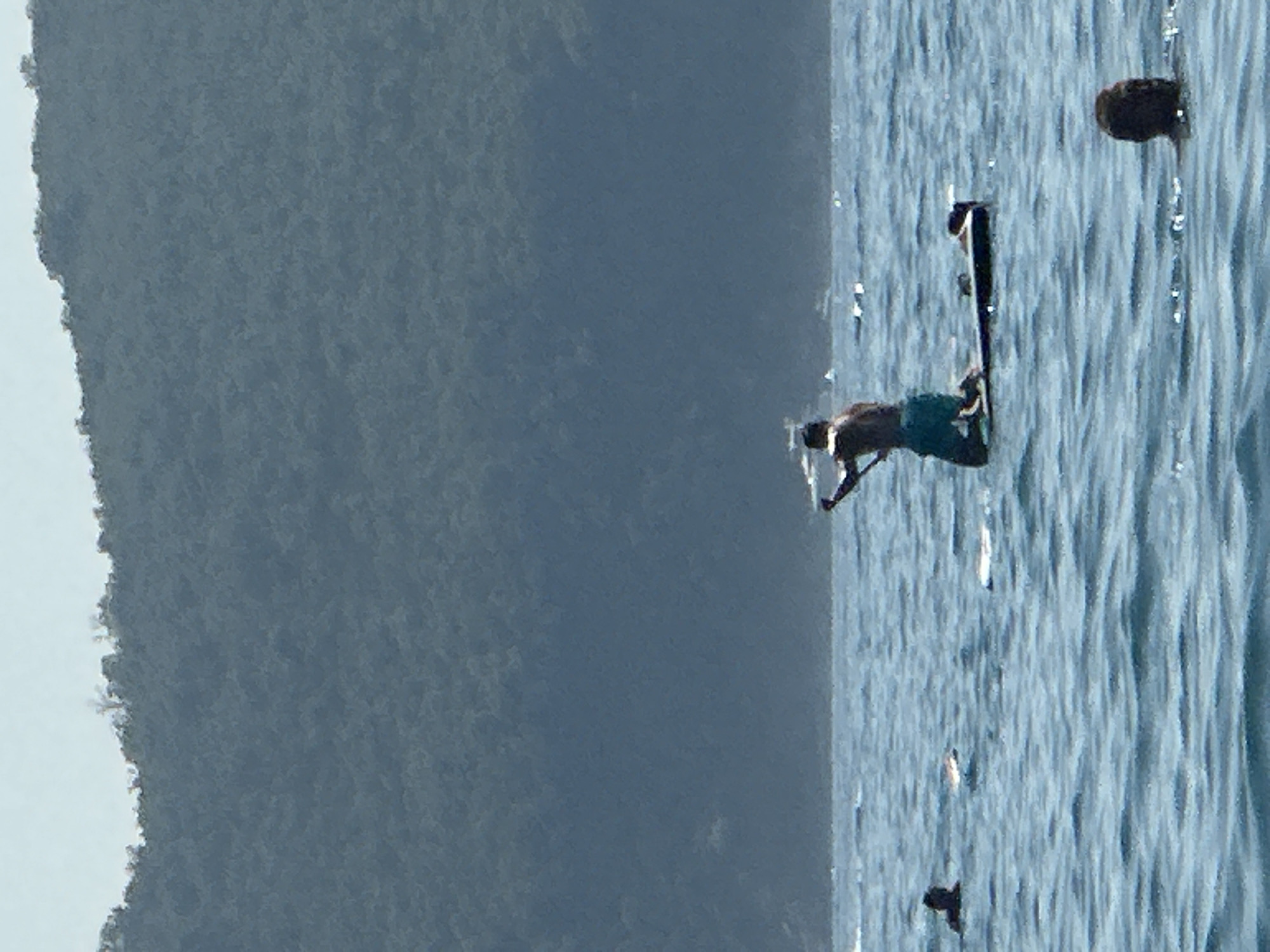 A medium-distance shot captures a serene body of water with a lush, tree-covered hillside in the background. The water's surface is slightly choppy, with small waves rippling across it. In the foreground, a person is seen from behind, kneeling on a paddleboard and holding a paddle, appearing to be in motion. To the left, another person is partially submerged in the water, with only their head visible. Further in the distance, several other individuals are also present in the water, some appearing to be swimming or floating. A narrow, dark object, possibly another paddleboard, is also visible in the water. The hillside behind is a deep green, covered in dense foliage, with a lighter blue sky above. The overall impression is one of a tranquil day spent enjoying outdoor water activities. The location is believed to be Boreti, Montenegro.