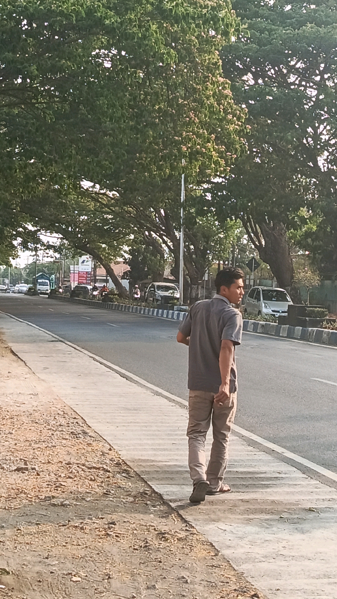 A man walks away from the camera on a sidewalk next to a road lined with trees in Cekok, Indonesia. The man is wearing a gray short-sleeved shirt and tan pants. He is looking over his left shoulder. The sidewalk is made of concrete and is adjacent to a dirt path. The road has multiple lanes and traffic, including cars, motorcycles, and a truck. The trees overhead have green leaves and some smaller pinkish blossoms. The sun is casting long shadows, indicating it is likely late afternoon or early morning.
