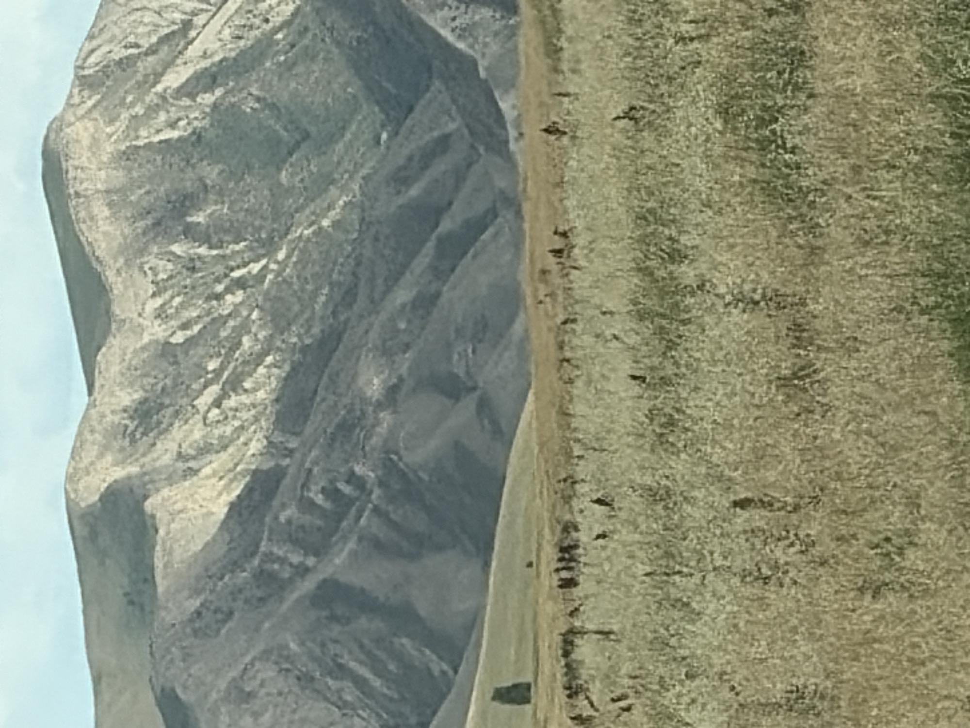 A wide shot shows a mountainous landscape. The foreground is filled with dry, light brown grass. In the midground, there is a gently sloping, golden-brown field with a few small, dark figures scattered across it, and a single, tall, dark green tree on the left side. The background is dominated by large, rugged mountains with visible striations and patches of light and shadow. The sky is a pale blue with some wispy clouds.