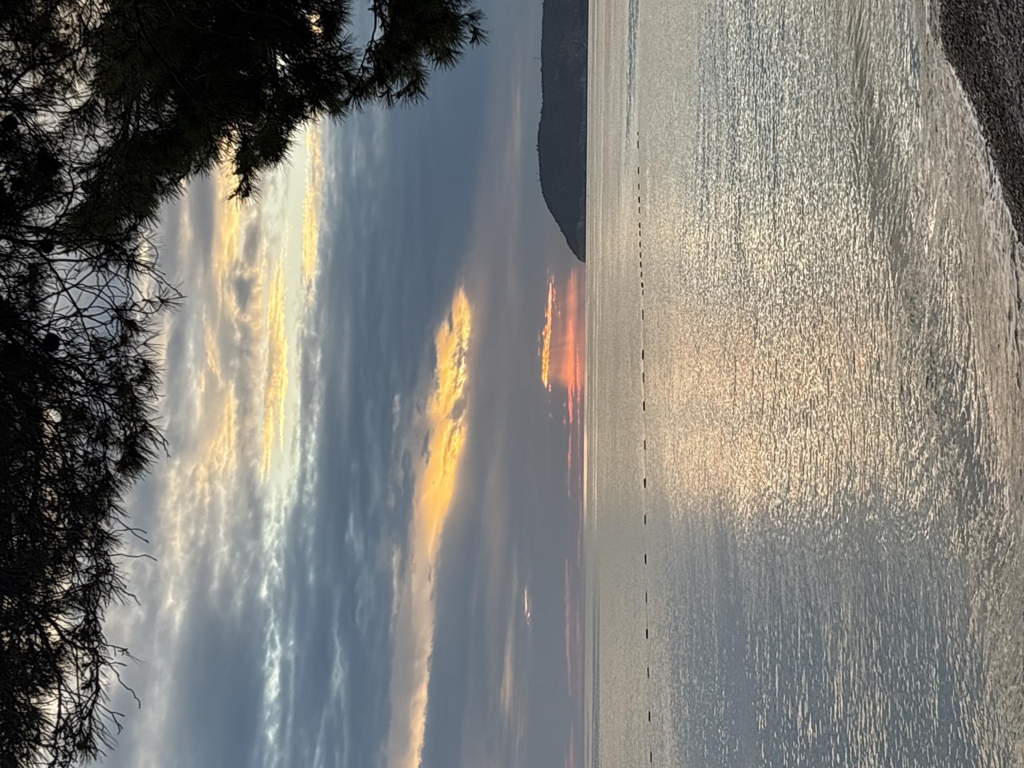 The image shows a sunset over the Adriatic Sea in Bar, Montenegro. The sky is filled with clouds, some illuminated with orange and yellow hues. The sea reflects the colors of the sunset. The silhouette of a mountain appears in the distance. A dark tree branch is visible in the upper left corner of the frame. A line of buoys is visible in the sea. The image is rotated 90 degrees counter-clockwise.