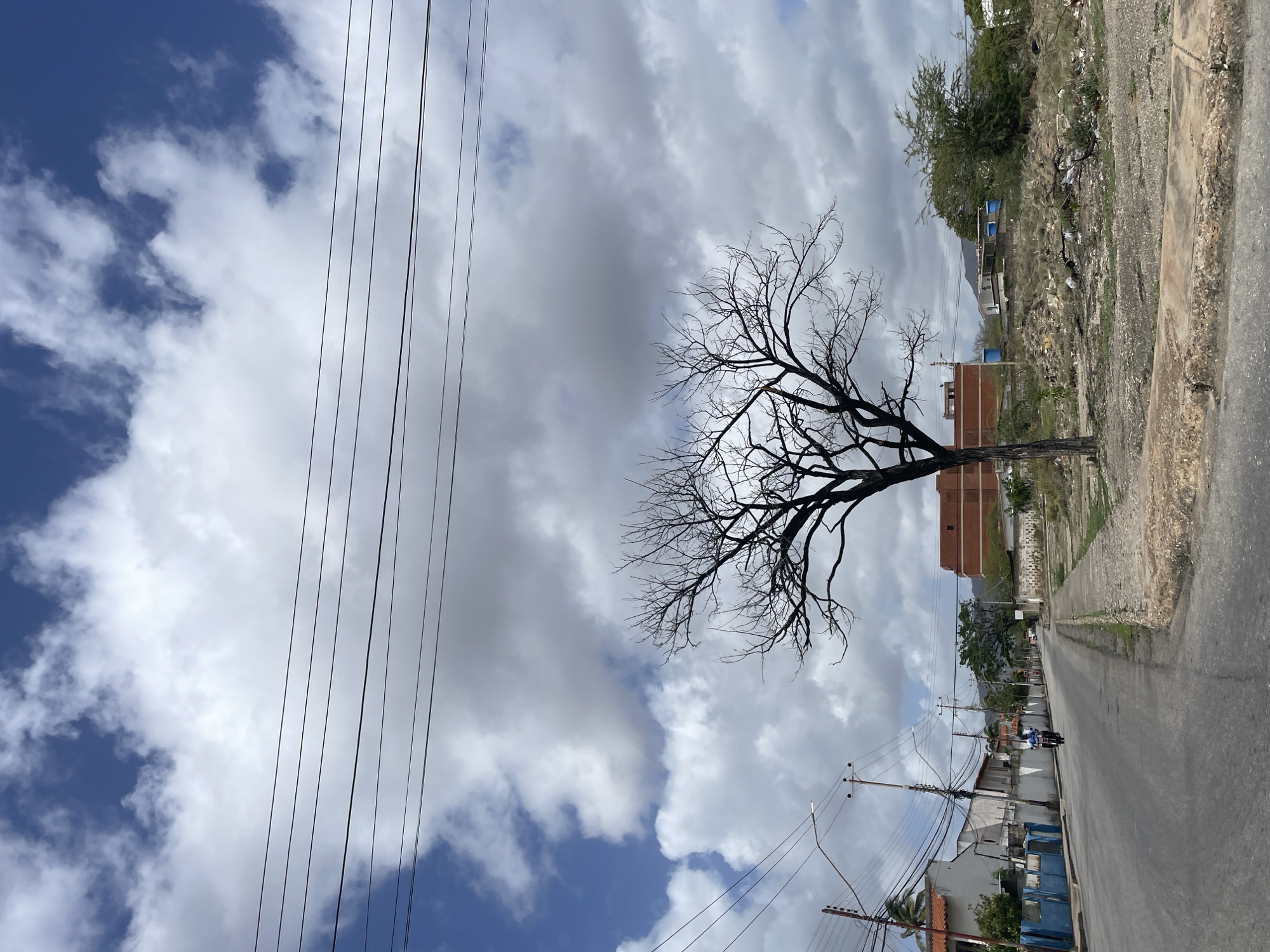 The image depicts a street scene in Juan Griego, Venezuela, under a partly cloudy sky. A bare, deciduous tree stands prominently in the foreground, silhouetted against the clouds. To the left, a paved road stretches into the distance, lined with houses and utility poles adorned with numerous wires. A person on a motorcycle is visible on the road. On the right side of the road, an undeveloped lot is strewn with debris, suggesting an unkempt area. In the background, a multi-story brick building is situated, with other structures and vegetation visible further down the street and towards the horizon. The overall impression is that of a semi-urban environment with signs of both residential development and neglected open spaces.