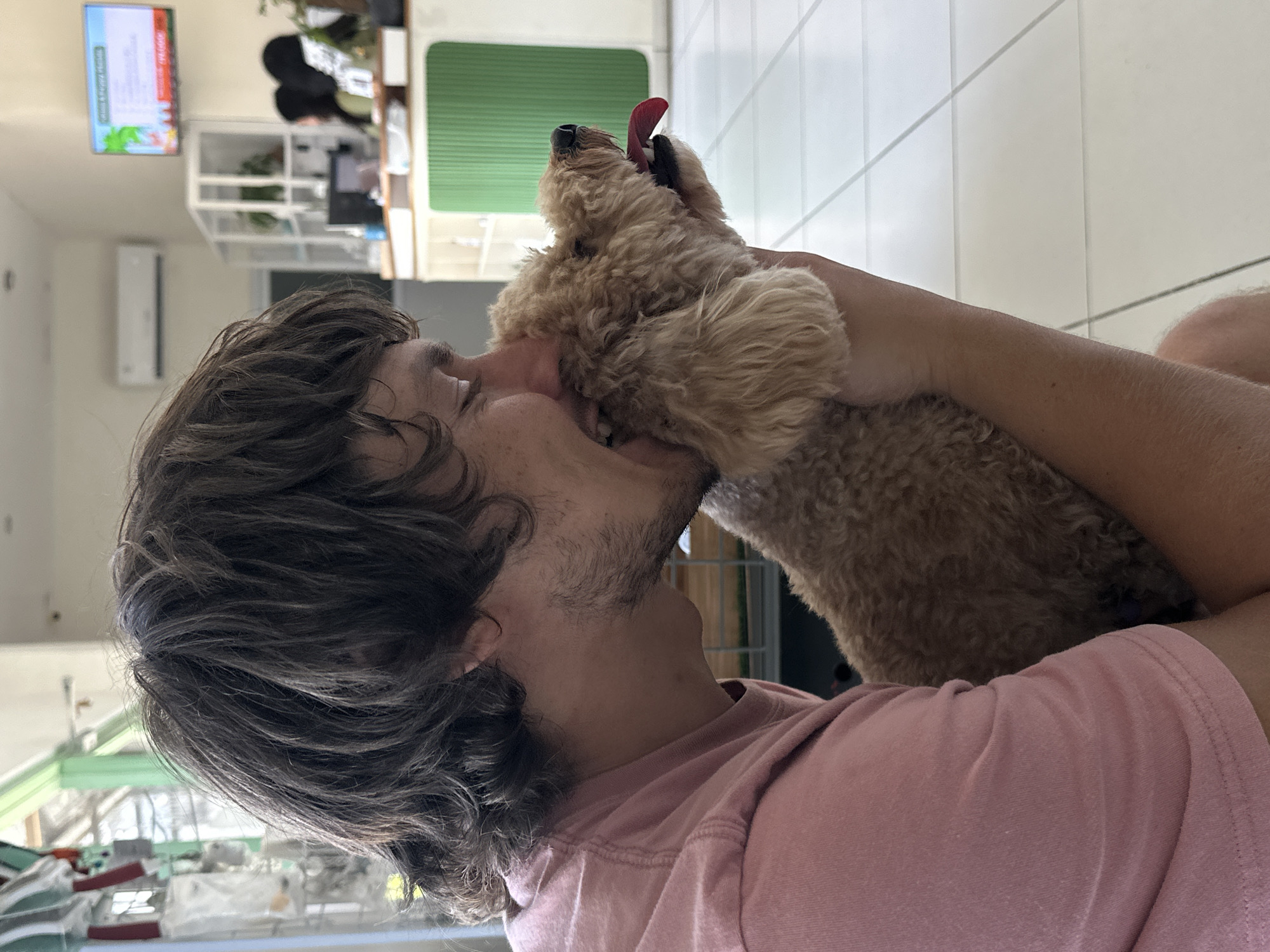 A man with dark brown hair and a pink shirt is kissing a golden doodle dog with its tongue sticking out. The setting appears to be indoors with white tile flooring. In the background, there is a white shelving unit, a television, and a green blind. The location is implied to be North Kuta, Indonesia.