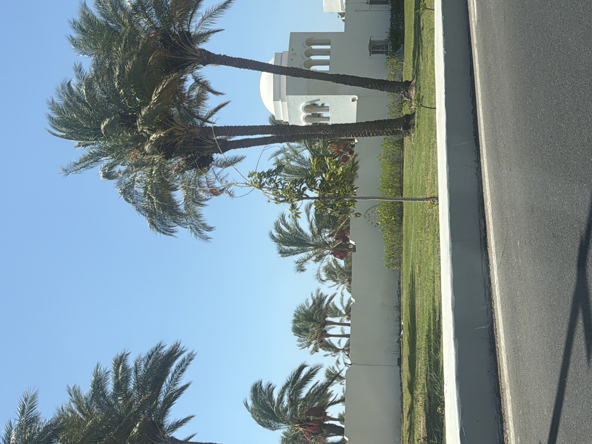 The image depicts a sunny day in Sharm El Sheikh, Egypt, with a clear blue sky dominating the upper portion. In the foreground, a dark asphalt road is visible, with a white concrete curb separating it from a manicured green lawn. Behind the lawn, a white wall stretches horizontally across the scene. Palm trees, with their distinctive fronds, are scattered throughout the image, some taller than others, and a few are laden with date clusters. To the right of the frame, a white building with arched windows and a dome-like roof is partially visible, hinting at a Mediterranean or Middle Eastern architectural style. The overall impression is one of a tranquil, resort-like environment. There are no people visible in the image.