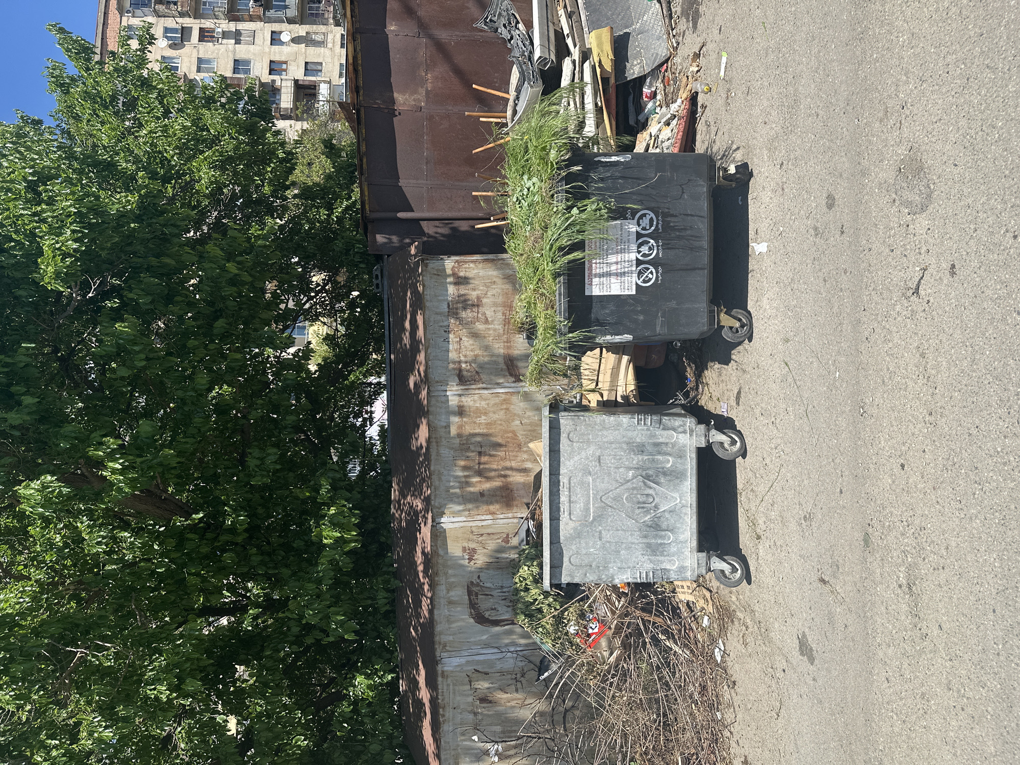 This outdoor scene, likely in Tbilisi, Georgia, presents an untidy urban environment. Two refuse containers, one black and the other metallic silver, are situated adjacent to what appears to be a rusty dumpster or storage unit. Grass and other plant life sprout from the top of the black bin, suggesting a lack of recent maintenance. Debris and refuse scatter around the bins and the perimeter of the dumpster/storage unit. A dense tree with full foliage obscures parts of the scene on the left. In the background, an older apartment building with multiple windows is visible under a clear sky. The ground is asphalt, and the scene is photographed in daylight.
