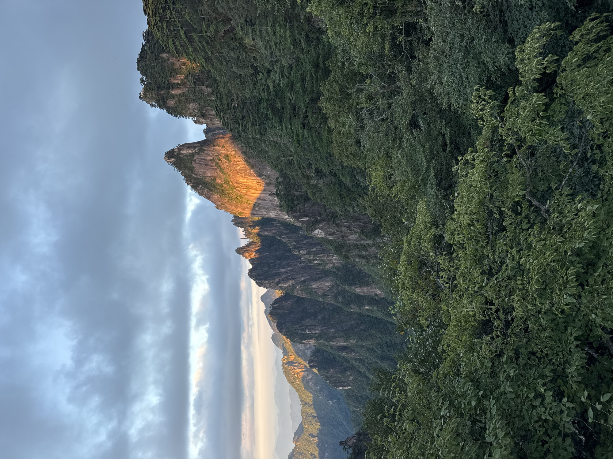 The image captures a dramatic mountain landscape, likely within the Huangshan District of China, during a sunset or sunrise. Jagged, steep peaks dominate the scene, some of which are illuminated by a warm, golden light, creating a striking contrast with the shadowed slopes. The mountains are covered in dense, dark green foliage, with coniferous trees clinging to the rocky outcrops. In the foreground, lush, leafy trees obscure the lower parts of the mountains, adding depth and a sense of being immersed in nature. The sky above is filled with textured clouds, with hints of soft light breaking through, suggesting the fleeting nature of the dramatic lighting. The overall impression is one of rugged, natural beauty and the awe-inspiring power of the elements.