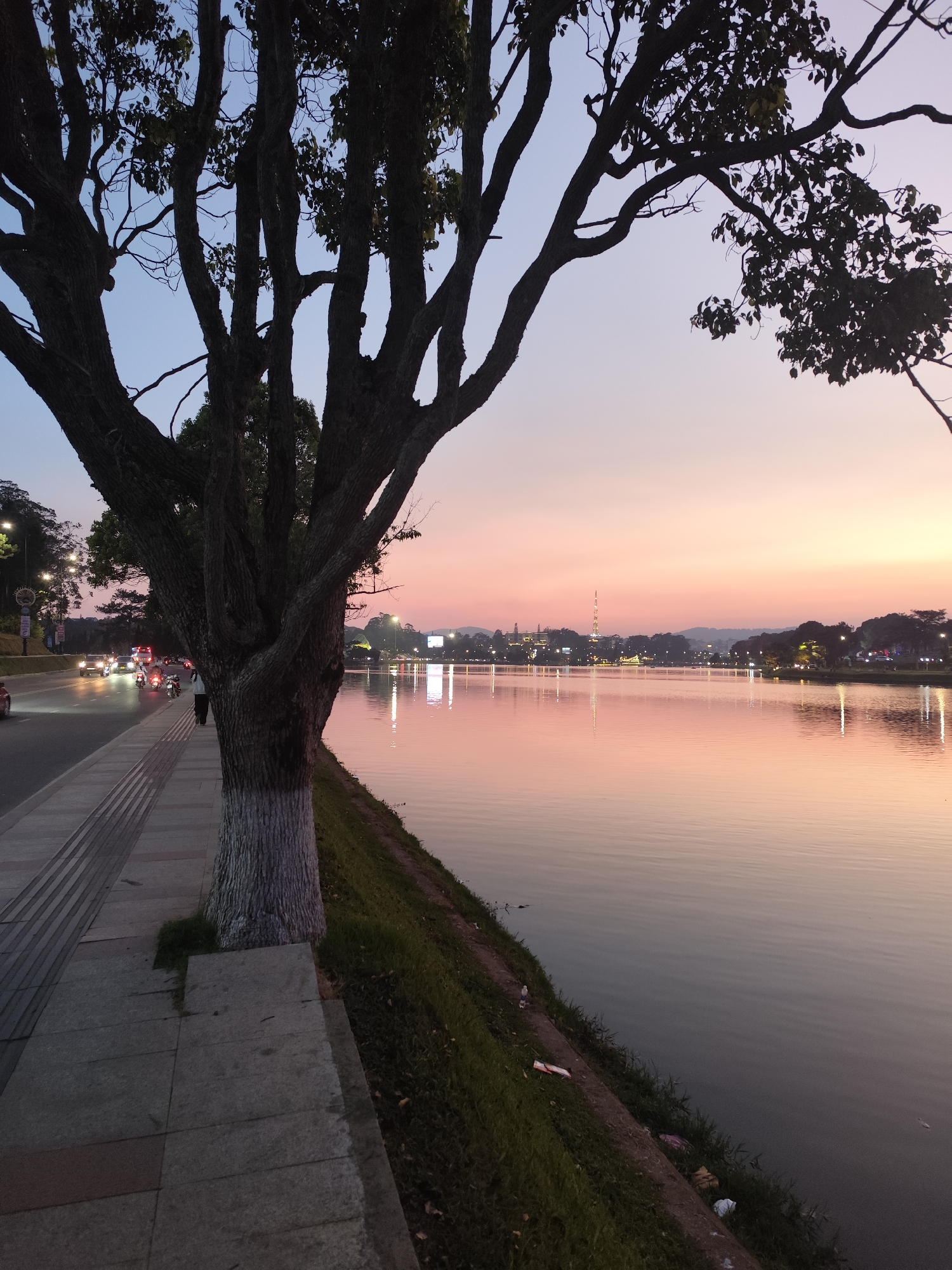 Captured at dusk, the image presents a scenic view of Xuan Huong Lake in Da Lat, Vietnam. The sky transitions from blue to shades of pink and orange, mirrored in the lake's still water. A large tree dominates the left foreground, its branches reaching into the sky. A sidewalk runs along the lake's edge, adjacent to a road where cars and motorbikes are visible. The opposite shoreline features buildings, trees, and lights, with a tower visible in the distance. The lake's edge is lined with grass.