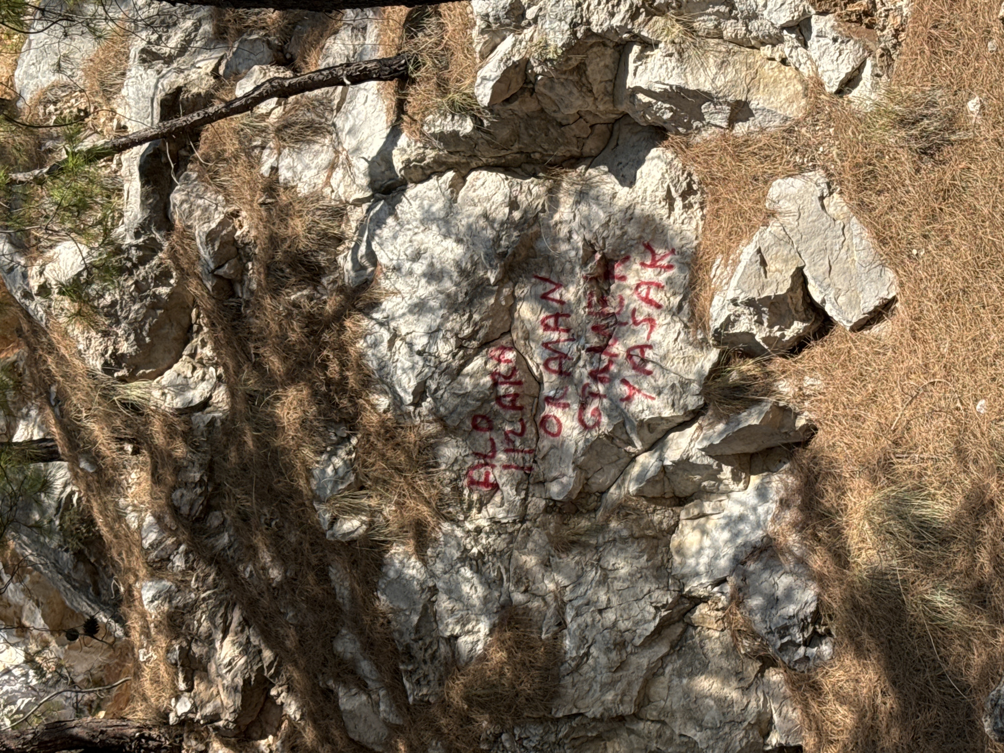 The image depicts a rocky cliff face in Kemer, Turkey, marked with red spray paint. The inscription appears to be in Turkish and reads "ELD ILKATI, OTMAN GIMNET YASAK", which translates to "First Eld, Grass Forbidden". The cliff is partially covered with dry pine needles and sparse vegetation. A narrow tree trunk leans against the rock on the right side of the image. The lighting suggests it is daytime, with shadows cast by the trees and rocks. The overall scene is natural and somewhat rugged.