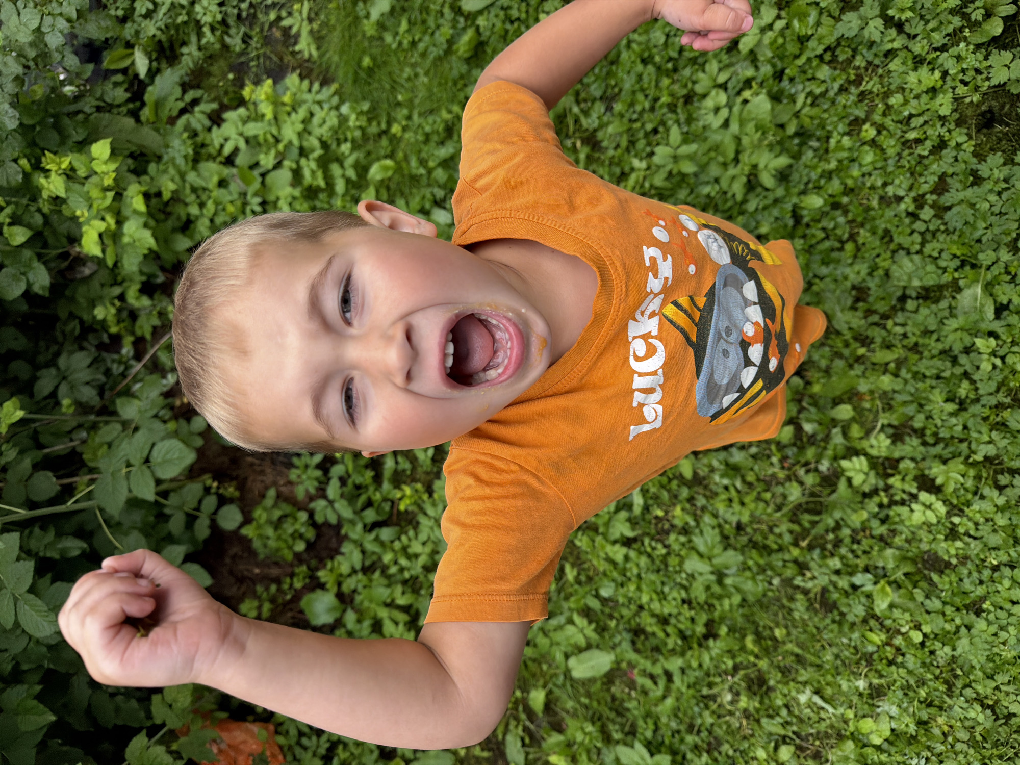 A young boy with blond hair and an orange t-shirt with a shark graphic stands in a grassy area, raising his right fist and shouting with his mouth wide open. The background consists of lush green foliage. The image appears to be taken outdoors, likely in a garden or park, given the presence of grass and plants.