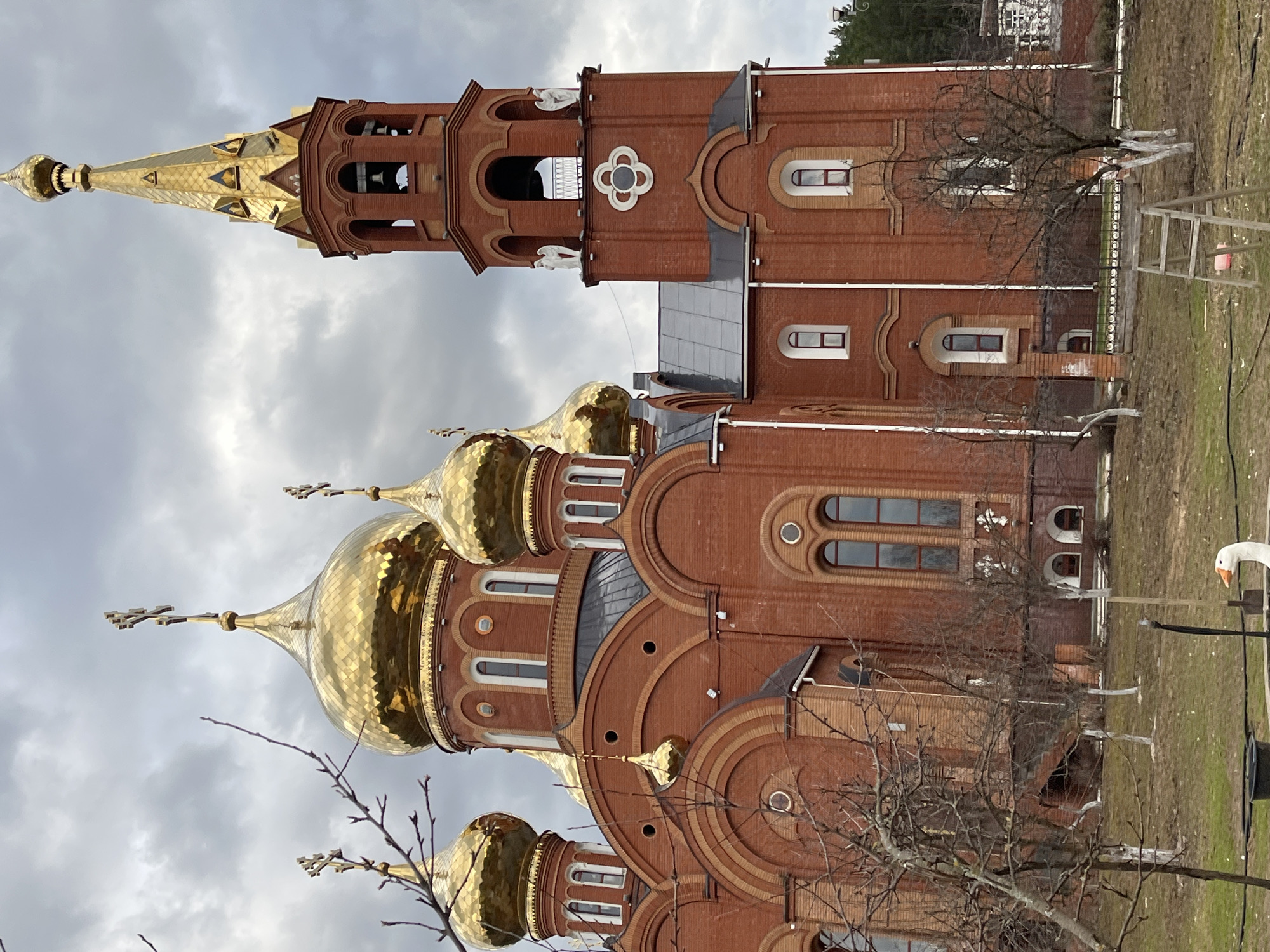 This media file features a large, ornate Russian Orthodox church with a distinctive red brick facade and multiple glistening golden domes and spires, set against an overcast sky in Chaikovsky, Russia.
The central subject is the multi-domed church, adorned with several prominent golden onion domes, each topped with a cross. The brickwork features intricate details, including arched windows and decorative patterns. To the right of the main domes stands a tall, slender bell tower, also constructed from red brick, culminating in a golden spired roof. The bell tower has arched openings revealing bells and features white statues, possibly angels, near its upper section, along with a quatrefoil design.
The foreground and mid-ground include several bare, deciduous trees, some with their lower trunks wrapped in white material. The ground is covered with sparse, dry grass and patches of bare earth, suggesting either early spring or late autumn. A wooden A-frame ladder is leaning in the mid-ground. In the lower right corner, a white goose with an orange beak is visible, standing on the grass. In the background, a small white building or structure is partially visible amidst some trees.
The scene captures a peaceful, static moment. There is no discernible activity taking place, with the goose appearing still. The overcast sky suggests it is daytime, but without direct sunlight. The architectural style strongly indicates a religious site, specifically a Russian Orthodox church, aligned with the provided location context of Russia. No visible text is present in the image.
