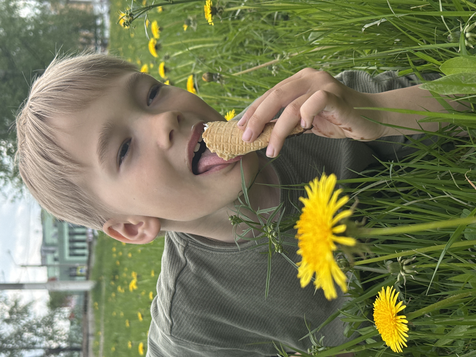 A blond-haired boy is lying in a field of dandelions in Dmitrov, Russia, eating an ice cream waffle cone. He is wearing a green t-shirt. The scene includes tall green grass and yellow dandelions. A building can be seen in the background.