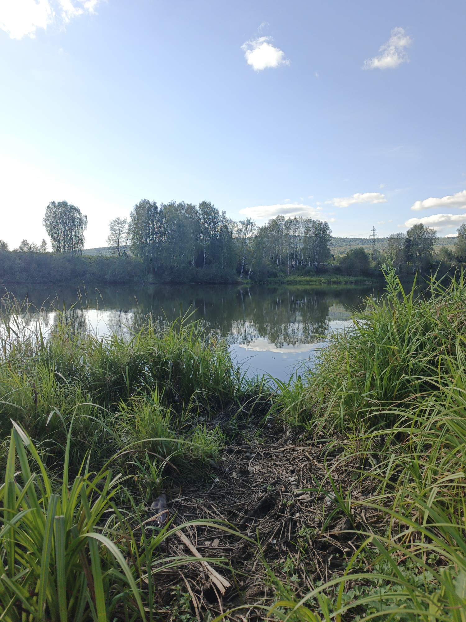 The image depicts a serene natural scene in Urtiushka, Russia. In the foreground, lush green grass and reeds line the bank of a calm river. The water reflects the clear blue sky with scattered white clouds, and the trees on the opposite bank, which are a mix of deciduous and birch trees. The trees form a dense line across the horizon, with rolling hills visible in the distance. The overall impression is one of tranquility and natural beauty on a sunny day. There are no people or animals visible in the image.