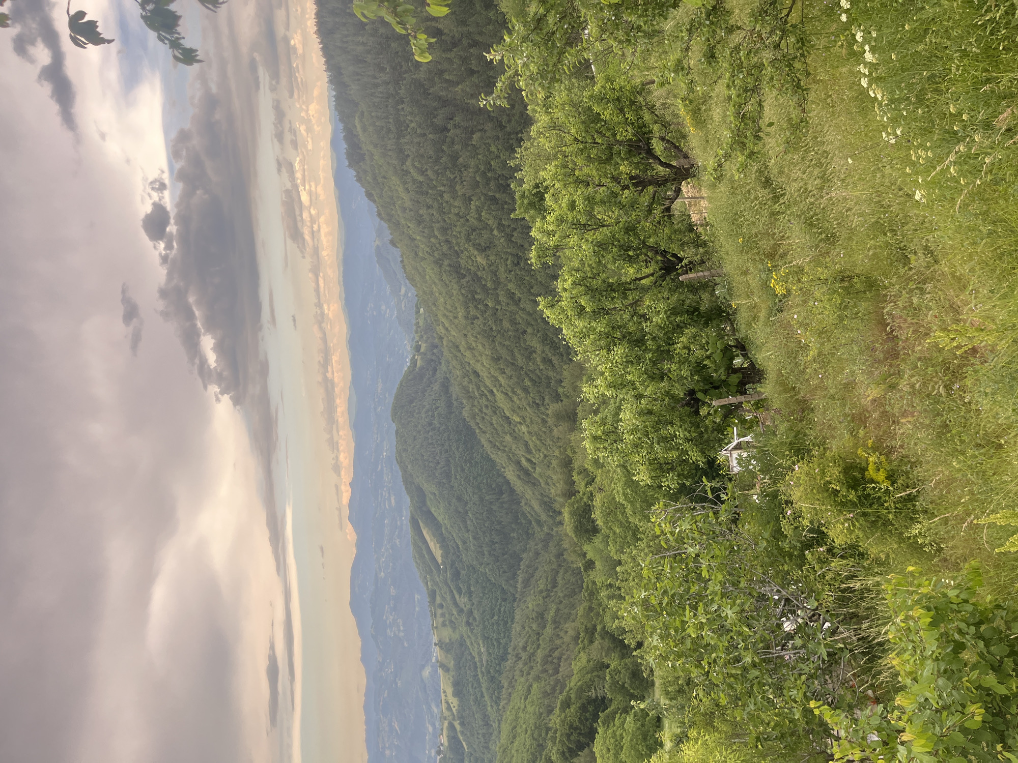 The image depicts a panoramic view of a verdant, hilly landscape under a cloudy sky. The foreground features lush green grass and foliage, with several trees visible. In the midground, rolling hills covered in dense green trees dominate the scene, with some houses or structures nestled within the valleys. The background consists of more distant, hazy mountains. The sky is filled with a mix of gray and pinkish clouds, suggesting either sunrise or sunset. The overall impression is one of a tranquil, rural environment. There are no people or animals visible in the image. The scene is likely located in a rural area with a natural, mountainous terrain, possibly with scattered settlements.