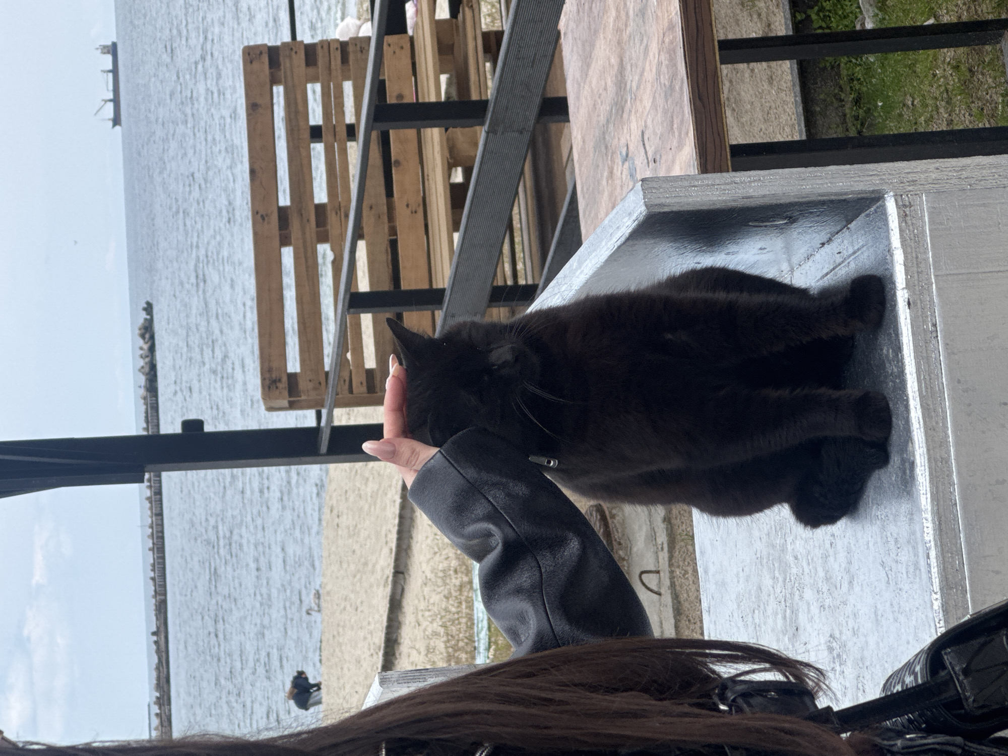 A black cat sits on a ledge by the sea, a human hand gently petting it. The photo is taken at a high angle, likely from a table. In the background is a body of water, possibly the Black Sea, with a pier-like structure visible. Wooden pallets are stacked behind the ledge. The photo is taken in Varna, Bulgaria, by the water and shows the cat resting. The person wears a black jacket. The ledge is covered in a silver, possibly metallic, material.