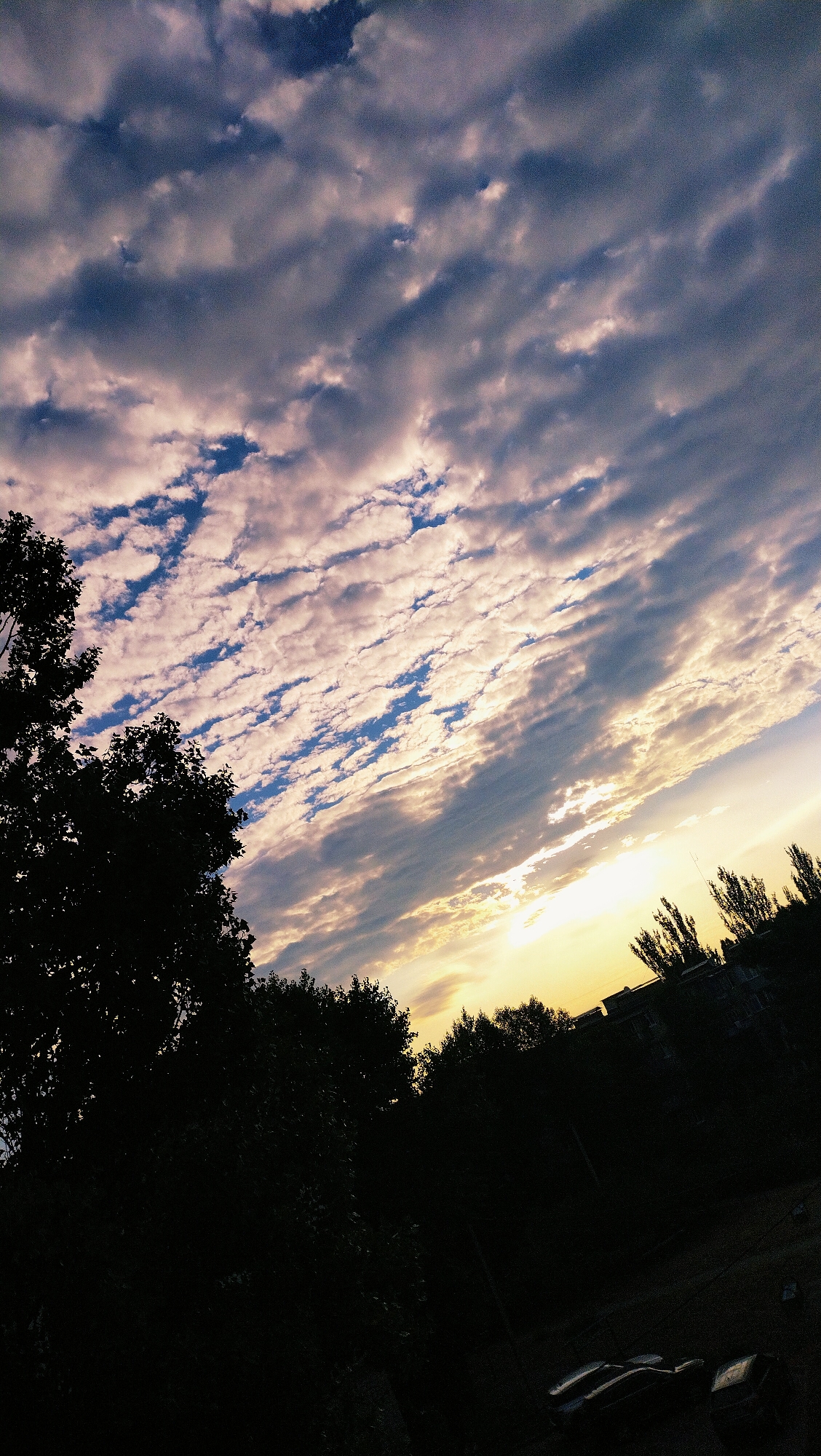 This image captures a sky filled with a dynamic array of clouds, ranging from dark, heavy formations to lighter, streaky formations illuminated by the setting sun. The sky transitions from a deep blue near the top to a bright yellow and orange glow near the horizon. Silhouetted trees and buildings form a dark band across the lower portion of the image, suggesting an urban or suburban environment. The perspective is tilted, adding a sense of movement and grandeur to the scene. Based on the provided context, this scene is located in Horishni Plavni, Ukraine, likely depicting a view of the sky over the city at dusk.