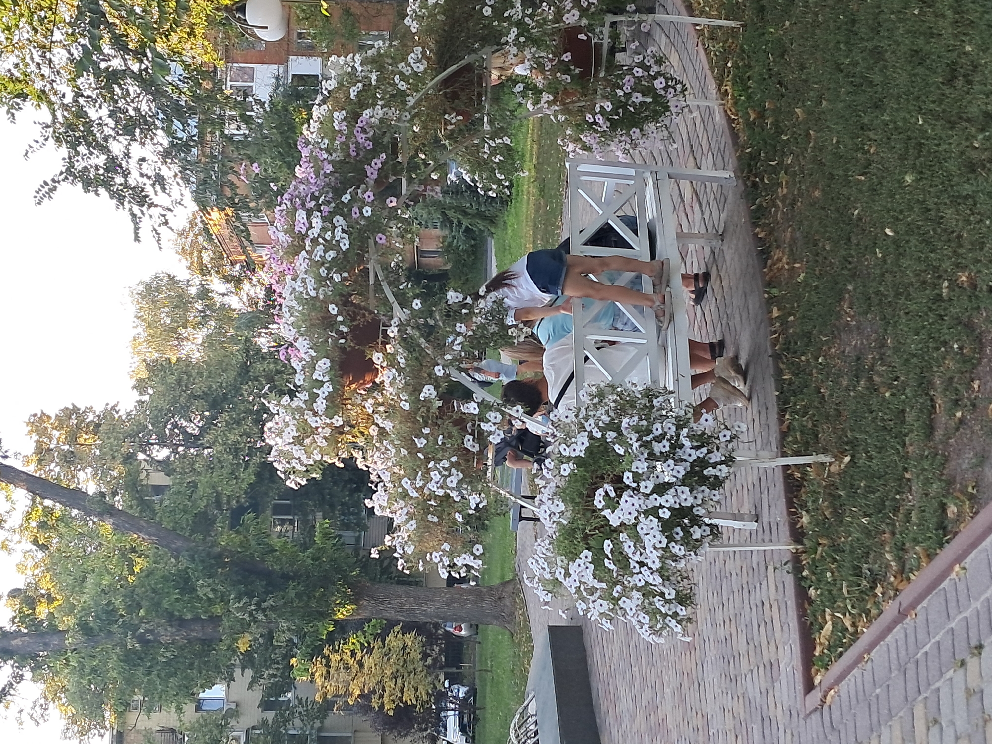 In a park-like setting within an urban environment, a white wooden bench is occupied by at least four individuals. A young girl in a white t-shirt and denim shorts stands on the bench, leaning forward. To her left, a person in a light blue shirt sits. Further to the left, partially obscured, another individual is seated. In the foreground, a white potted plant overflowing with white petunias sits on a decorative border. Behind the bench, an arched structure is heavily adorned with white and pink petunias. The ground is paved with brick-like stones and interspersed with grassy areas. Trees with dense green foliage are visible in the background, along with multi-story buildings, one of which appears to be an apartment complex. The lighting suggests it is daytime, possibly late afternoon, with sunlight filtering through the leaves.