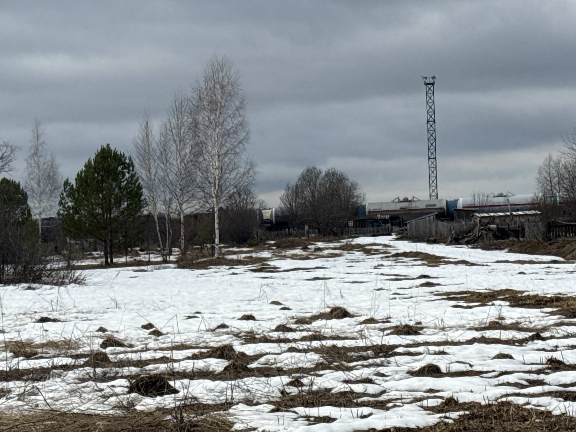 The image shows a snow-covered field with patches of brown grass and vegetation visible through the melting snow. Several trees are scattered across the scene, including bare-branched birch trees and at least one evergreen tree. In the background, there are buildings and structures, including what appears to be a communications tower. Based on the location information (Кемуль, Russia), the scene likely depicts a rural or semi-rural landscape in this region. The sky is overcast, indicating a cloudy or dull weather condition.