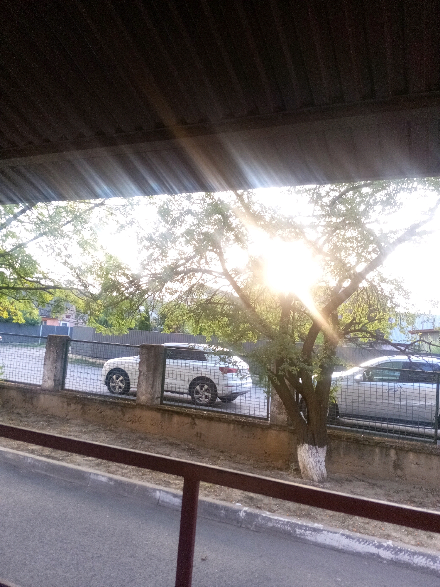 The image depicts a view of a street scene from under a covered structure, possibly a carport or porch. The sun is shining brightly through the branches of a tree in the foreground, creating a lens flare effect. In the background, two white cars are parked behind a metal fence. The fence is supported by concrete posts. The area appears to be a residential or urban setting. The overall impression is one of a typical daytime scene in a town.