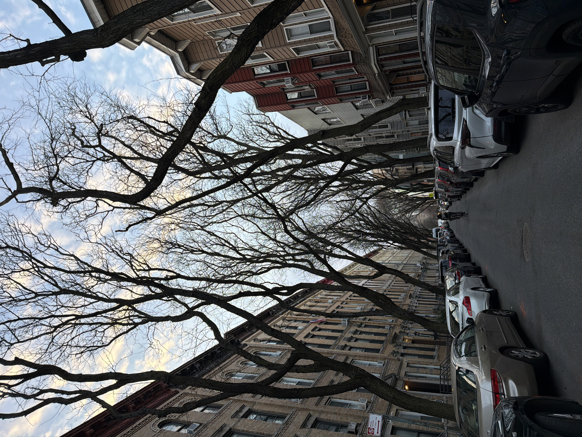This image depicts a residential street in an established neighborhood of New York City, United States, under a partly cloudy sky. The street extends into the distance, flanked by rows of multi-story buildings and numerous deciduous trees with bare branches, forming an arching canopy overhead.
On the left side of the street, a continuous line of brick residential buildings, primarily light brown/tan, features multiple windows, many equipped with visible external air conditioning units. A red and white regulatory sign indicates "No Parking Monday Thursday 9:30am - 1pm." Along the curb, several passenger vehicles are parallel-parked, including a dark vehicle, a champagne-colored sedan, and a white sedan, among others.
On the right side of the street, a corresponding row of multi-story residential buildings displays varied facades, including brown, red, and light grey structures, some featuring bay windows and visible air conditioning units. An adjacent line of passenger vehicles, including a dark SUV and a white SUV, are also parallel-parked along the curb.
The asphalt roadway appears clear, with two distinct rows of parked cars on either side. In the mid-distance, a single individual is observed riding a bicycle away from the viewer, positioned centrally on the street. The lighting suggests either early morning or late afternoon conditions.