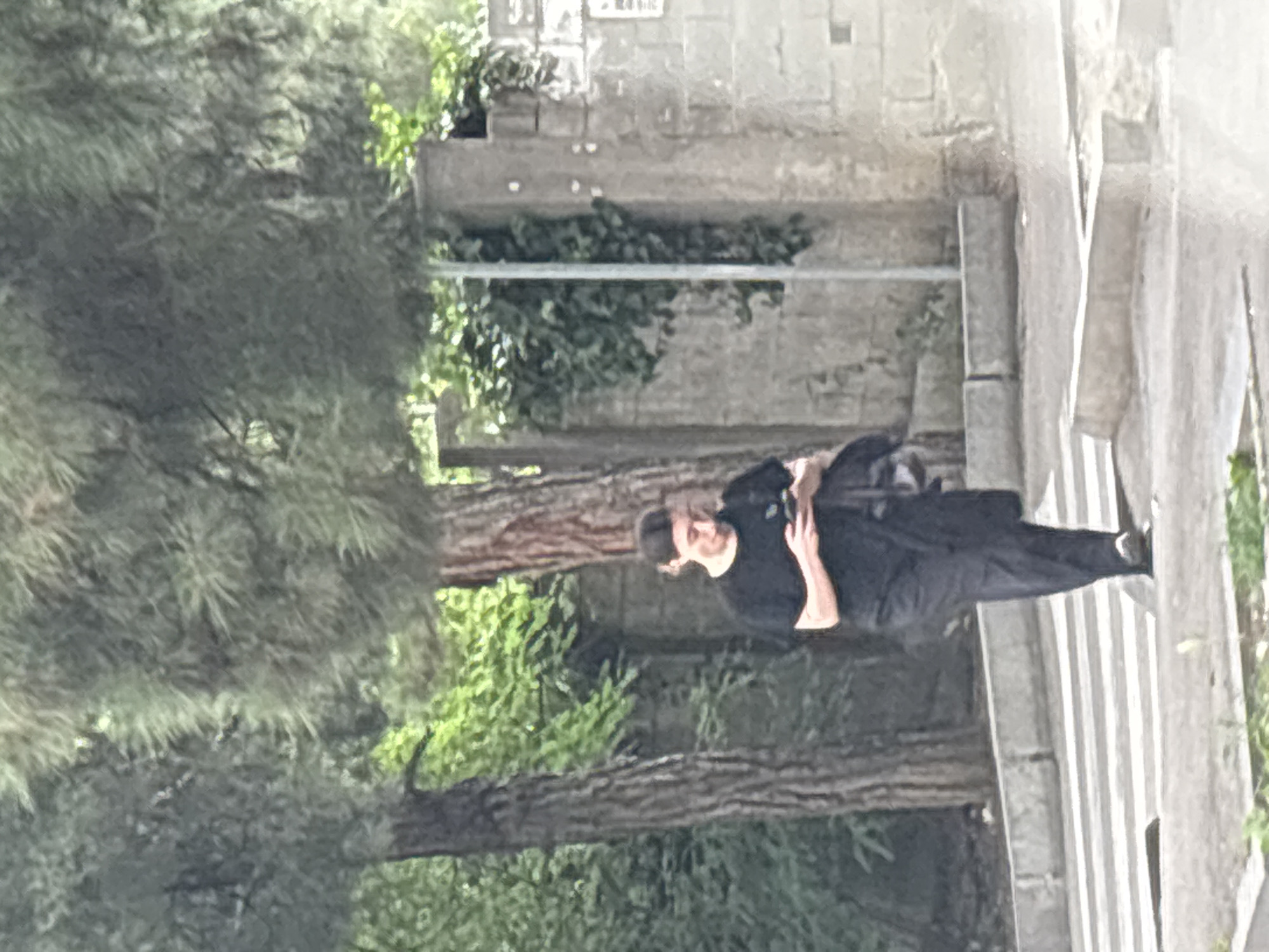 A person wearing a black t-shirt and black pants is walking across a pedestrian crosswalk. They are looking down at their phone, which they are holding in their hands. The person is in front of two trees and a stone wall. This scene is located in Tbilisi, Georgia.