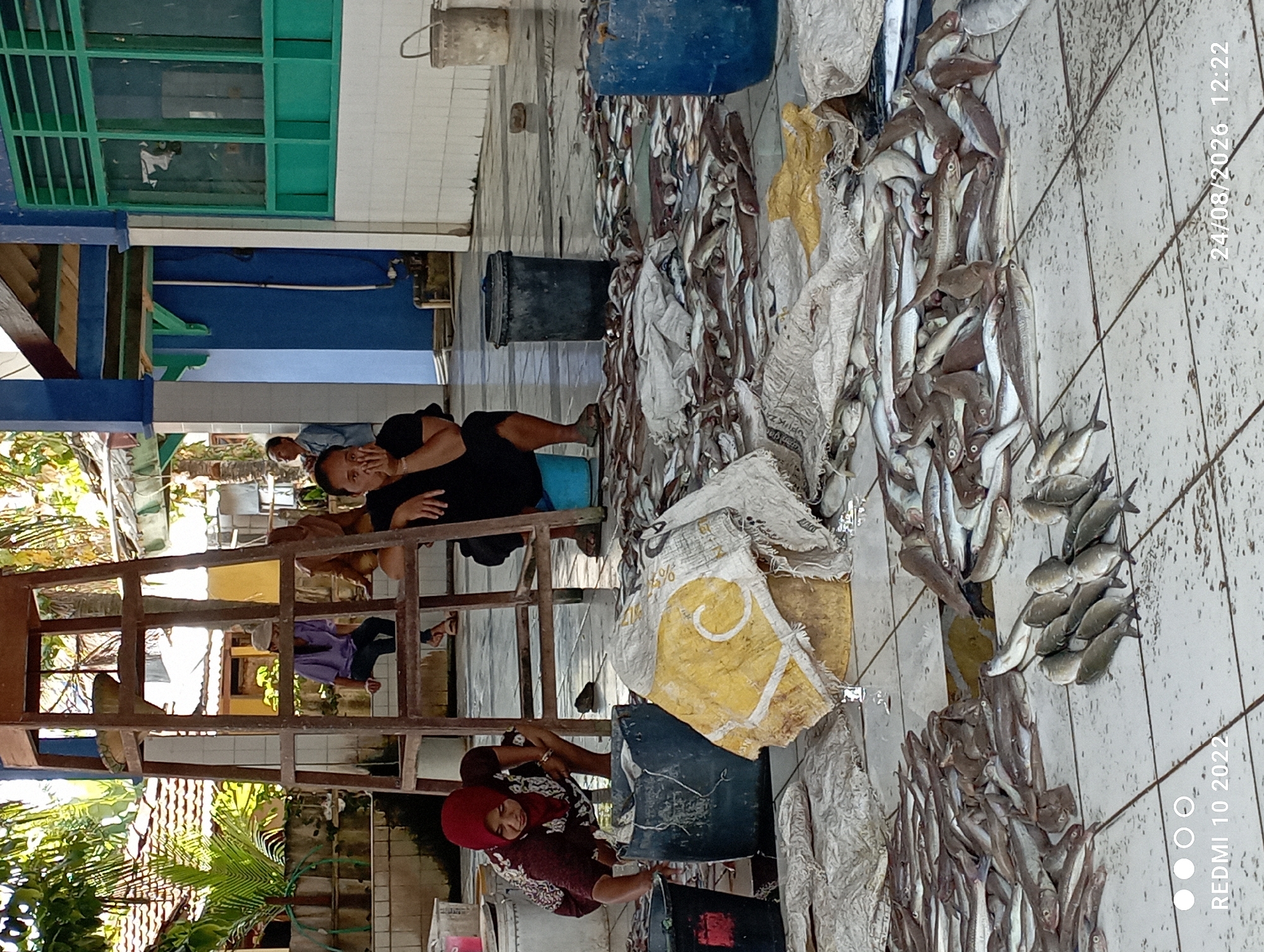 In Dukuhseti, Indonesia, a market scene unfolds where numerous small fish are laid out on a tiled floor, some partially covered by sacks. In the foreground, a woman wearing a red headscarf and a patterned maroon shirt crouches beside large blue and black buckets, appearing to be handling the fish. To her right, a woman in a black shirt sits with her hands on her face, looking contemplative. Behind them, a tall wooden ladder structure stands against a building with blue and white walls and a green-barred window. Several other individuals are visible in the background, some sitting or standing. The environment suggests an outdoor or semi-outdoor market setting with vegetation and traditional Indonesian architecture.