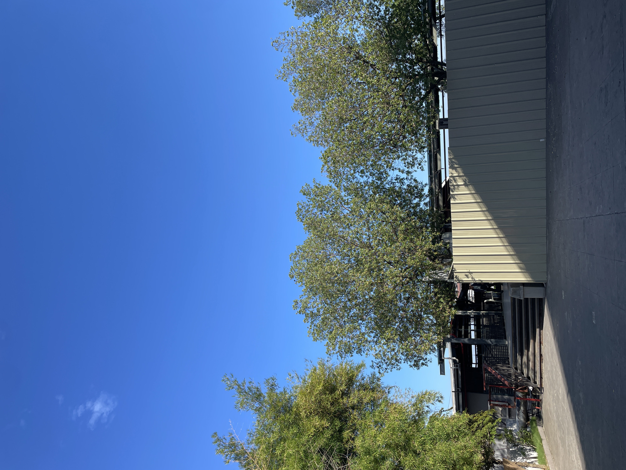 The image depicts an outdoor scene under a clear blue sky. In the foreground, a dark asphalt or concrete surface is visible, with a distinct shadow cast by an unseen object or structure. To the right, a light-colored corrugated metal fence dominates the midground, with a diagonal shadow cutting across it. Behind the fence, several trees with dense green foliage are partially visible. To the left, a section of stairs leads up to a covered structure with a dark roof. A person in dark clothing can be seen standing on the right side of the stairs, near the covered area. A portion of a vibrant green tree is also present on the far left, with its branches reaching towards the sky.
The scene is likely located in Davao City, Philippines, based on the consistent presence of similar outdoor structures and vegetation commonly found in urban and suburban areas of the region. The time of day appears to be morning or afternoon, given the angle of the shadows. The overall atmosphere is one of an everyday outdoor space, possibly a commercial or recreational area, with elements of construction or renovation suggested by the metal fencing.