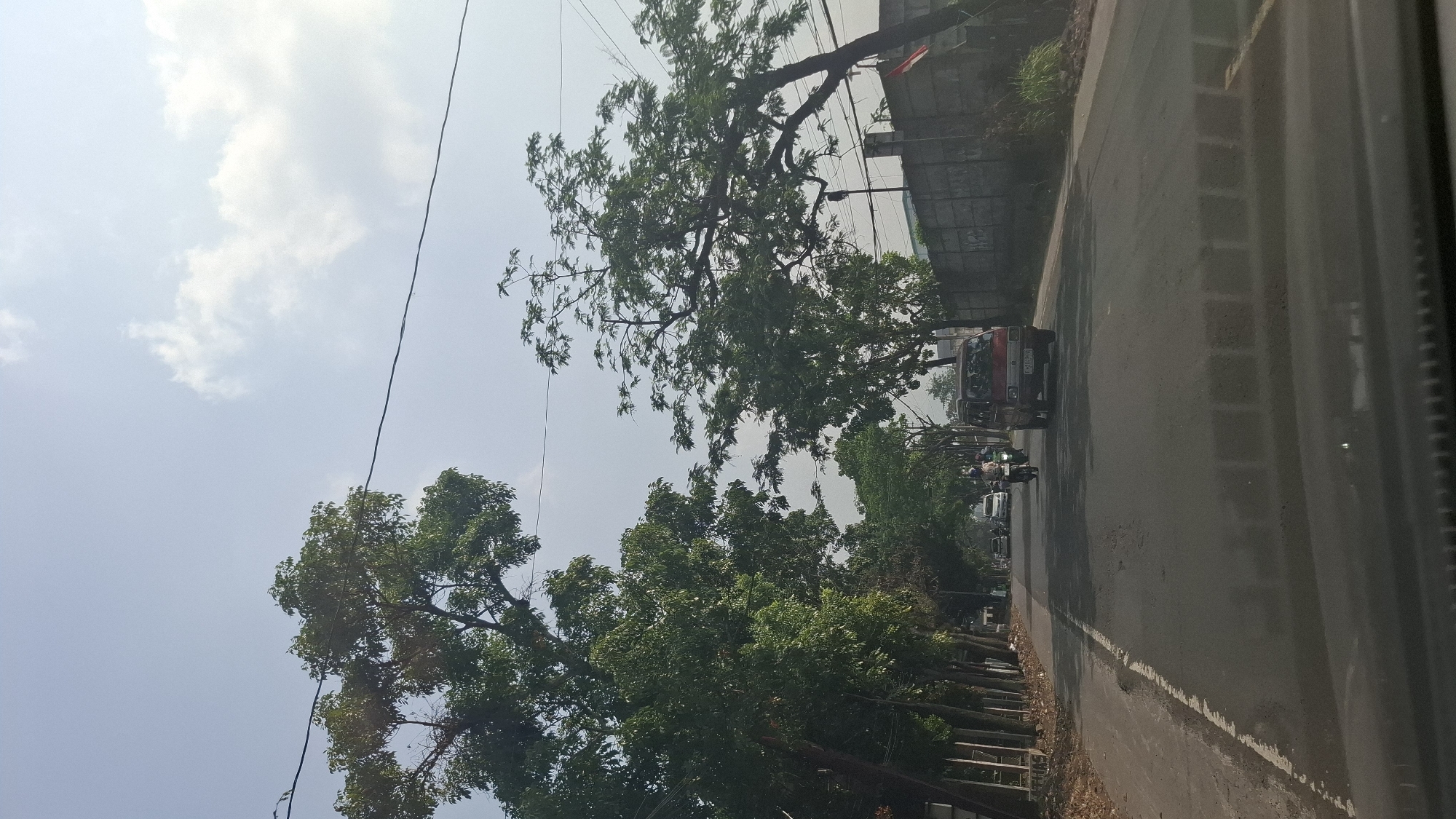 This is a photograph taken from inside a vehicle, looking out at a street scene in Cikaroya, Indonesia. The perspective suggests the viewer is a passenger or driver. A two-lane asphalt road dominates the lower half of the image, with a white line marking the center. On the left side of the road, a row of trees with dense green foliage lines the edge, behind which is a fence. On the right side of the road, more trees with spreading branches are visible, some of which overhang the road. A low concrete wall runs along the right edge of the road.
Several vehicles are present on the road. In the distance, a white car is visible. Closer to the foreground, a person on a motorcycle is in the left lane, and a red van is in the right lane, traveling in the same direction as the viewer's vehicle. The sky above is a pale blue with scattered white clouds. The overall lighting suggests it is daytime, possibly late morning or early afternoon. The presence of power lines running across the sky further indicates an urban or suburban environment. The scene appears to be a typical street in a residential or commercial area.