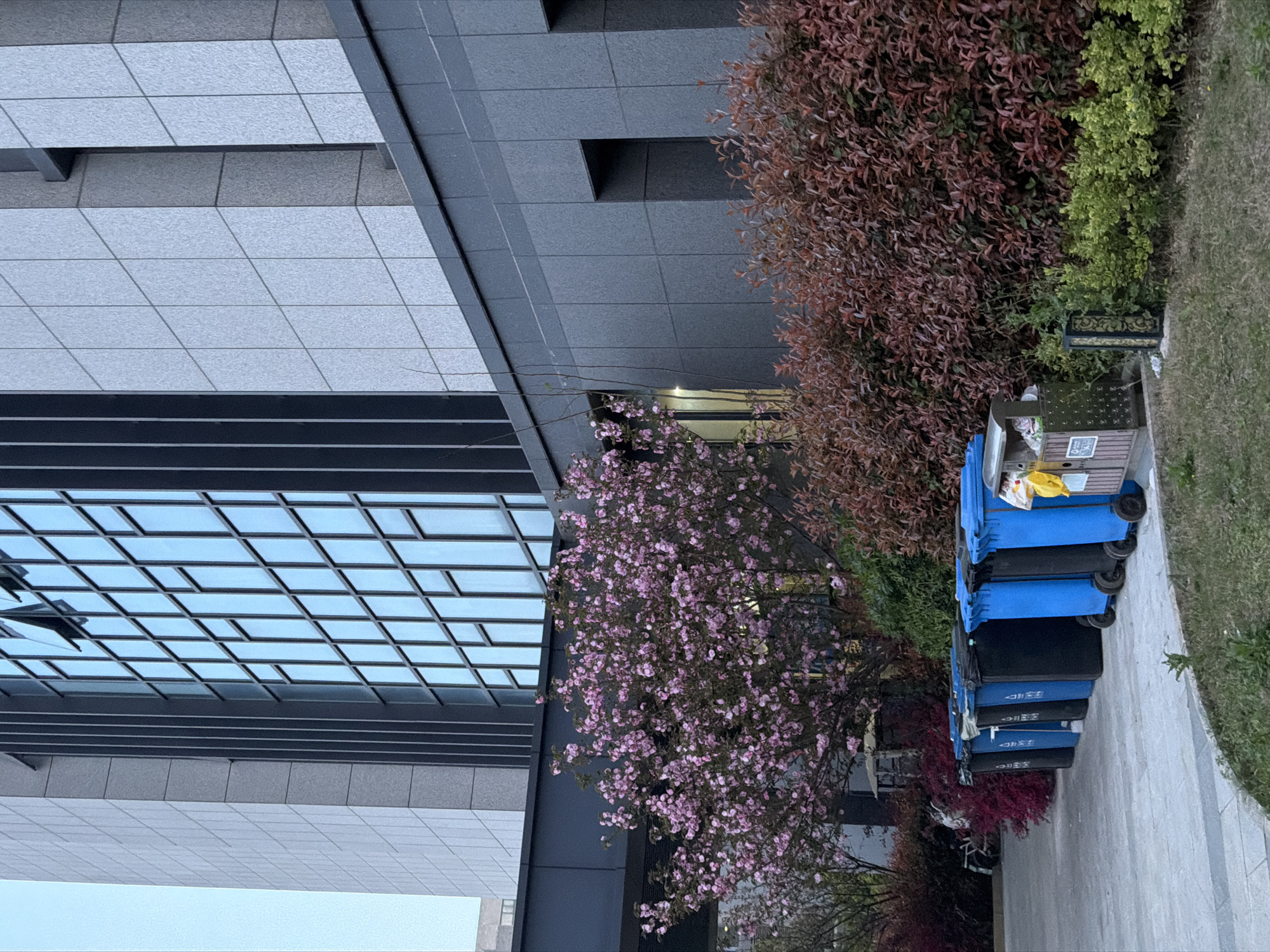 Exterior shot of a multi-story building with modern architectural design located in Jiangning District, China. Building exterior consists of gray paneling with a section of reflective windows displaying a grid pattern. Adjacent to the building are trees and shrubs, one with bright pink flowers in bloom. Several blue and black trash bins line the sidewalk alongside the building and landscaping. A paved sidewalk runs parallel to the building and landscaping. The sky is light blue and overcast.