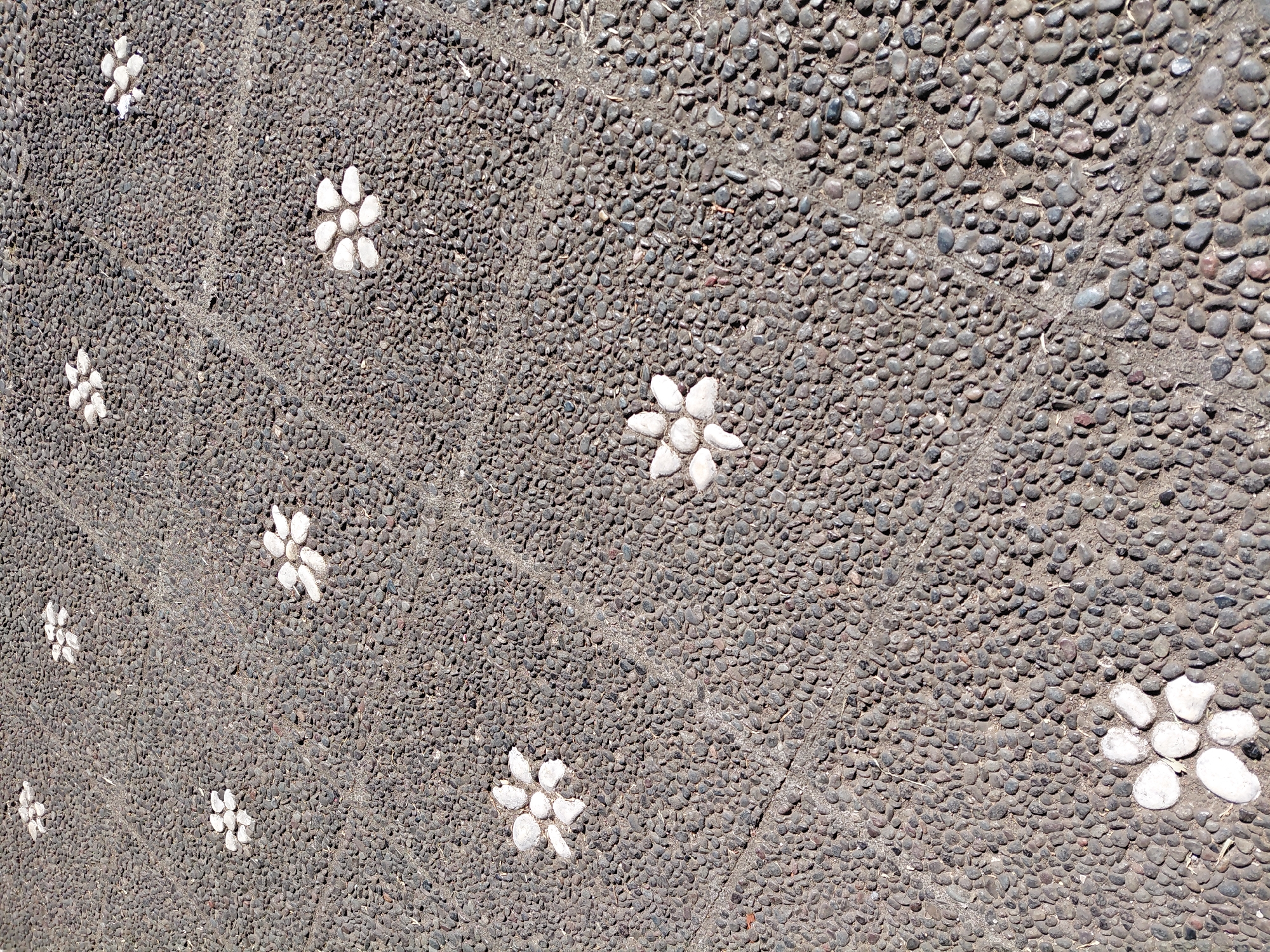 This is a high-angle, close-up shot of a textured stone pathway in Baturiti, Indonesia. The pathway is made of small, dark grey pebbles embedded in concrete, forming a grid-like pattern. Scattered across the pathway are several decorative flower-like shapes, each constructed from five or six larger, white, smooth stones. The flowers are irregularly spaced and vary slightly in size and petal arrangement. Sunlight creates shadows and highlights on the textured surface. The scene is dry and appears to be an outdoor public space. There are no people or animals visible.