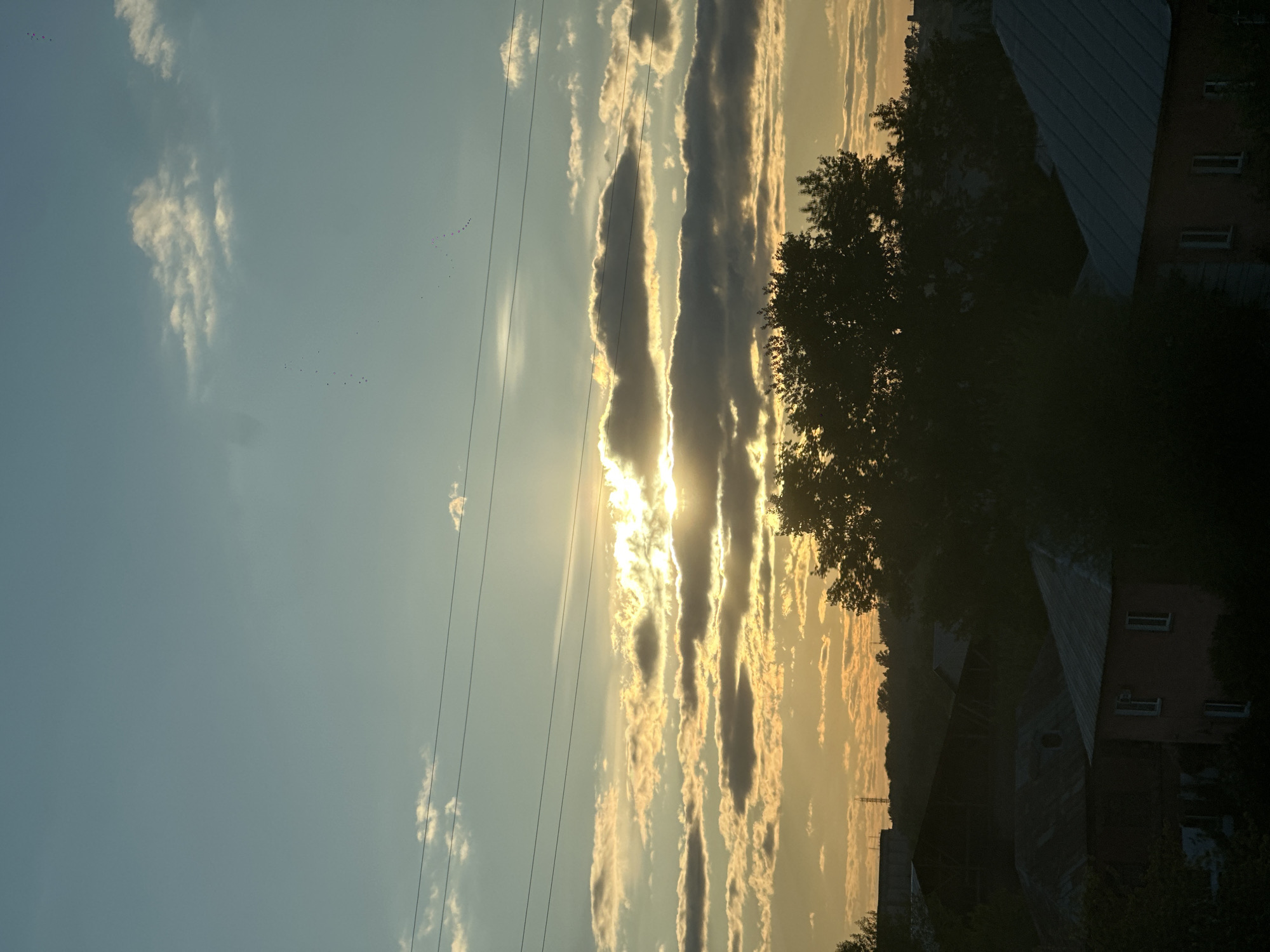 The image depicts a sunset in Biysk, Russia. The sun is positioned low in the sky, partially obscured by vertical, elongated clouds, creating a radiant glow. Power lines stretch across the left side of the frame, and small groups of birds are visible in the sky. To the right, the silhouette of trees and rooftops of buildings are visible. The light suggests it's dusk or dawn.