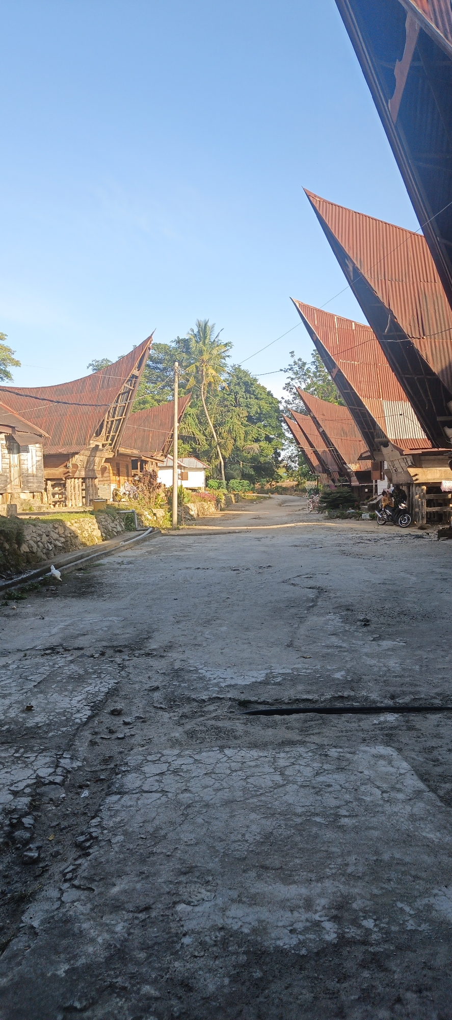 The image depicts a street scene in Cinta Dame, Indonesia, characterized by traditional Indonesian architecture. The foreground features a rough, cracked asphalt road with some debris and a drain. On the left side of the road, there are traditional wooden houses with distinctive, upward-curving roofs made of corrugated metal, some of which appear weathered and rusty. A small white building is also visible. Lush green trees and a palm tree are present in the background, suggesting a tropical or sub-tropical environment. The sky is clear and blue. On the right side of the road, more traditional structures with similar roof designs are present, some of which appear to be extended over the road, possibly as part of a market or extended housing. A motorcycle with two people on it is parked near one of these structures, and another bicycle is visible further down the road. A single white chicken is walking on the edge of the road on the left. The overall impression is of a rural or semi-rural village setting in Indonesia, with a focus on the unique architectural style of the houses.