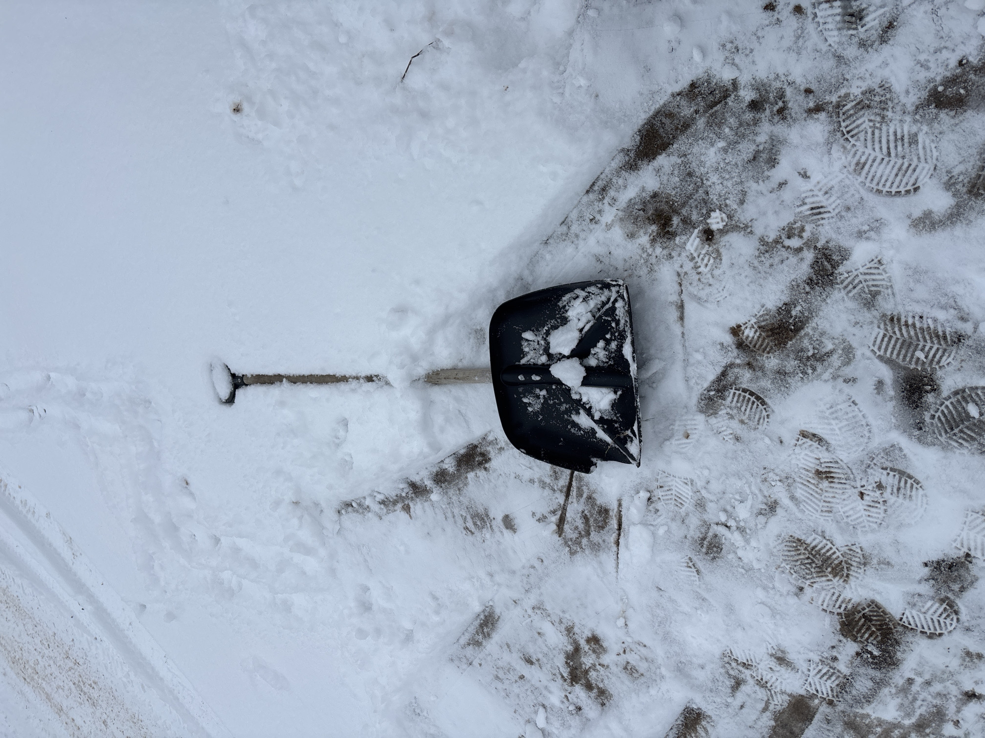The scene depicts a snow-covered ground with a black snow shovel lying on the surface. The shovel's blade is partially filled with snow. A cleared path with numerous footprint impressions is visible in the upper right quadrant. The environment suggests a cold, wintery condition, possibly outside a building or on a walkway. No people or other subjects are visible. The location is identified as Ферма, Russia.