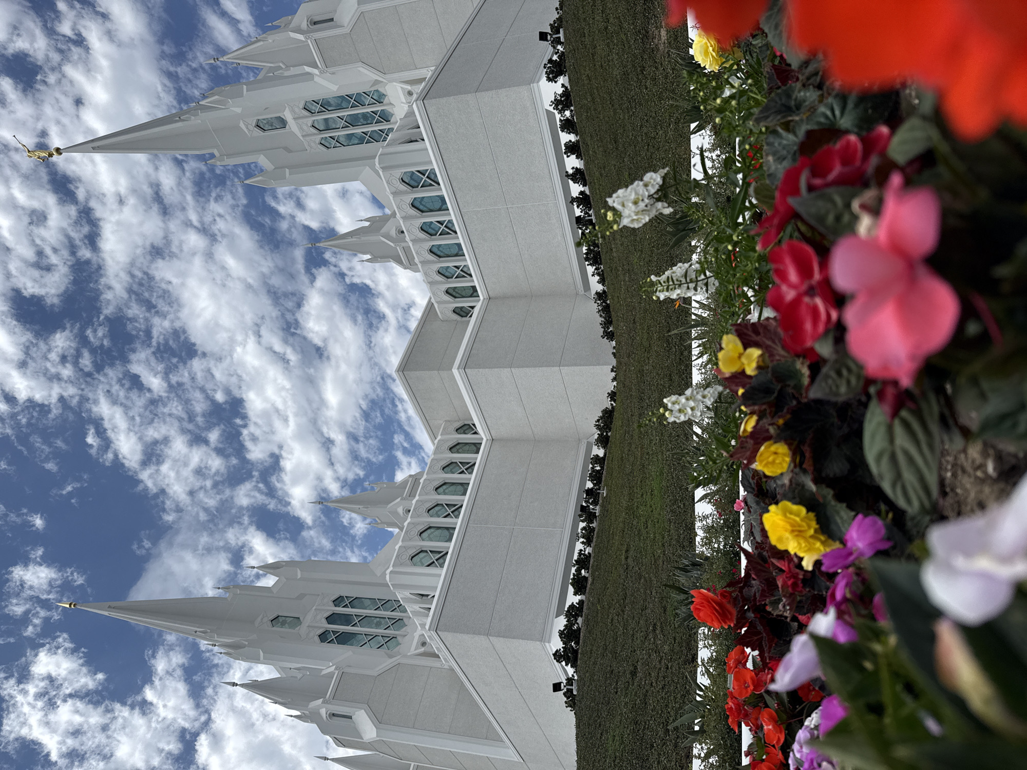 The image shows the La Jolla California Temple of The Church of Jesus Christ of Latter-day Saints, located in La Jolla, a neighborhood of San Diego, California. The temple is a white, multi-spired building with distinctive pointed spires, one of which is topped with a golden statue of the angel Moroni. The structure is set against a bright blue sky with scattered white clouds. In the foreground, a vibrant display of colorful flowers in shades of red, pink, yellow, and purple are in bloom, creating a striking contrast with the stark white architecture. The flowers are densely planted and partially fill the lower portion of the frame, with some out of focus, suggesting a close-up perspective. The temple is situated on a manicured green lawn, with a row of dark green bushes lining the base of the building. Subtle exterior lights are visible along the manicured slope. The overall scene captures a harmonious blend of architectural grandeur and natural beauty.