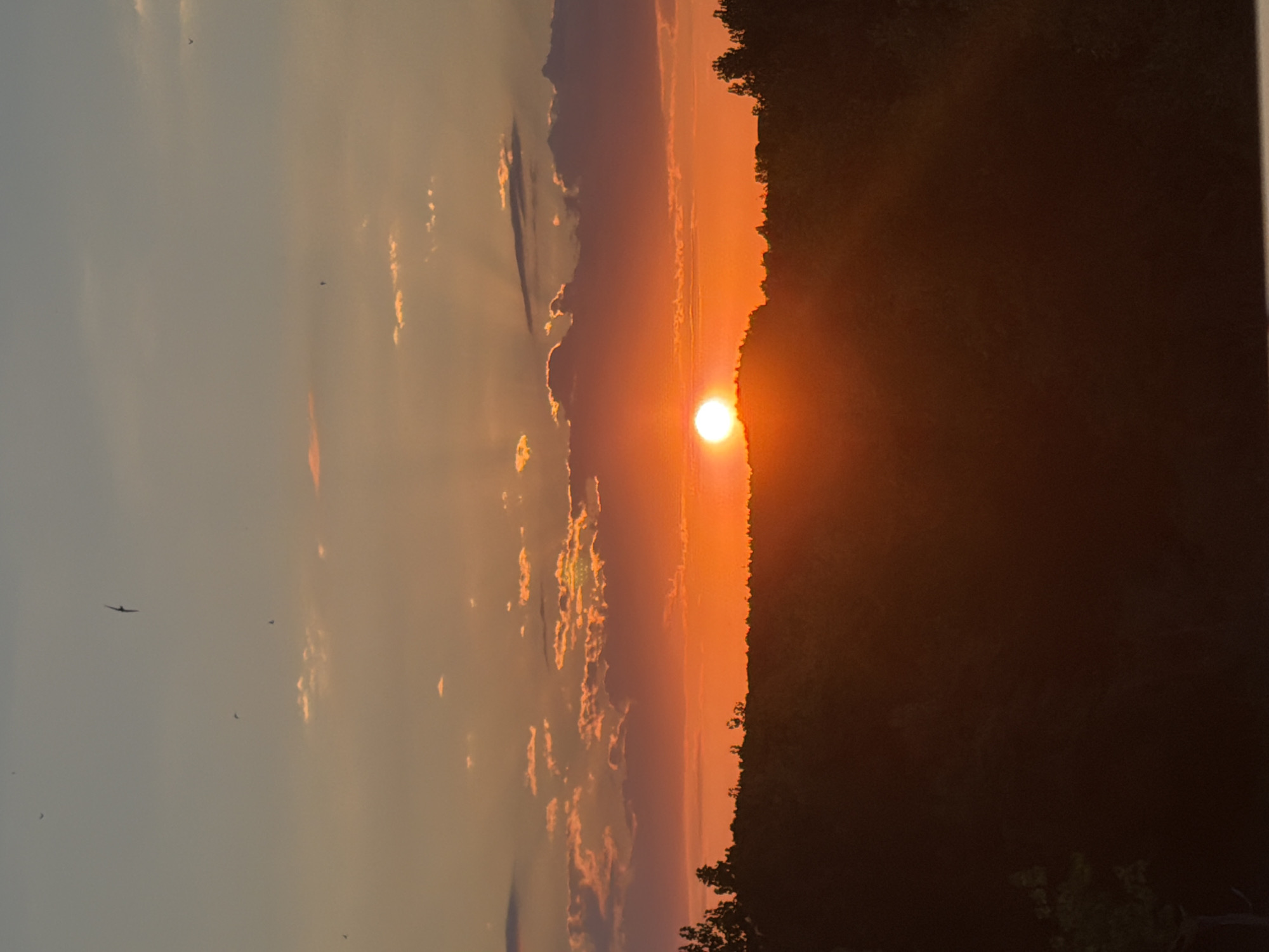 A sunset is captured over Nesebar, Bulgaria, with the sun partially obscured by trees and hills in the foreground, casting a warm orange glow across the sky. Silhouetted trees form a dark, undulating line along the horizon. Wispy clouds, tinged with orange and pink, drift across the upper portion of the frame. Several birds are visible as small dark specks against the lighter sky, indicating their flight. The overall scene depicts a tranquil natural landscape at dusk.