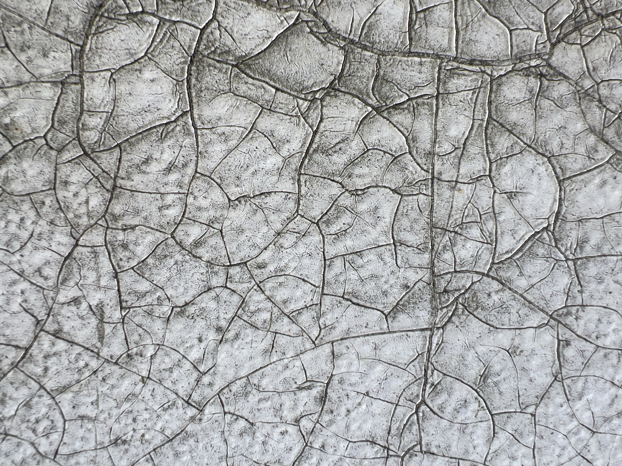 The image displays a close-up view of a weathered, cracked white surface. The cracks form a complex, irregular pattern, creating a texture that resembles dried mud or aged paint. The lighting is even, casting no distinct shadows. The surface appears to be made of a rigid material, possibly painted wood or metal, showing signs of age and exposure to the elements. There are no visible people, animals, or specific objects that would indicate a particular location, a scene within Moscow, Russia, or any action taking place. The context is solely the textured surface itself.