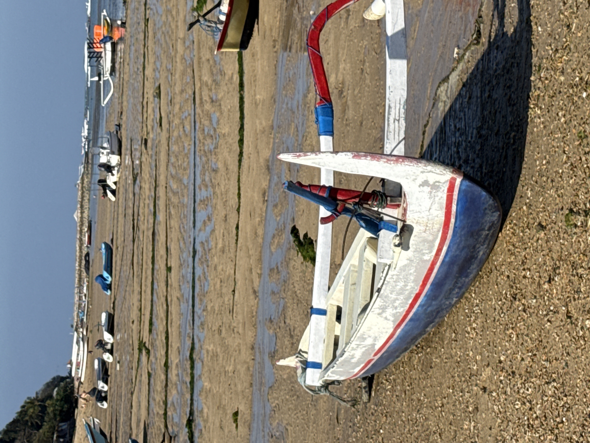 The image shows a beach in Denpasar, Indonesia during low tide. The foreground features a traditional Balinese jukung fishing boat, white with blue and red trim, resting on the sandy shore. Several other boats of various sizes and types are scattered across the wet sand and shallow water in the middle ground. In the background, more boats are visible further out at sea, and a breakwater or jetty runs along the coastline. Lush green vegetation can be seen on a hillside in the far left of the image, and the sky is a clear blue. The sand appears textured with small stones and patches of seaweed.