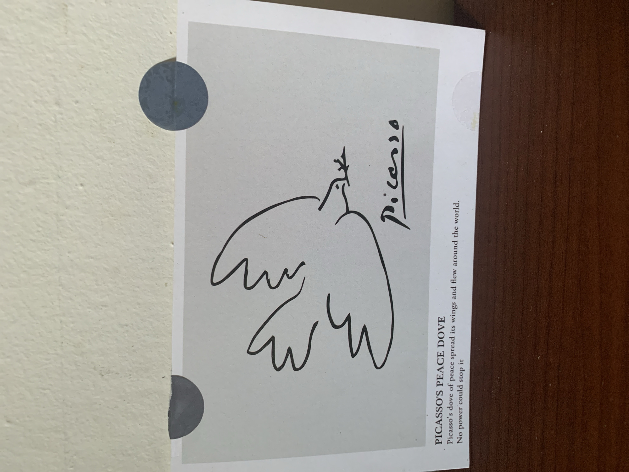 The image shows a postcard featuring a line drawing of a dove in flight, attributed to Picasso. The postcard is placed on a dark wooden surface, likely a table. Two circular, dark grey stickers are affixed to the top edge of the postcard, partially obscuring the white background. Below the drawing, text reads "PICASSO'S PEACE DOVE" followed by a brief description of the artwork. The background behind the postcard appears to be a textured, off-white wall. The scene is indoors, with no discernible elements placing it in Kuala Pembuang, Indonesia.
