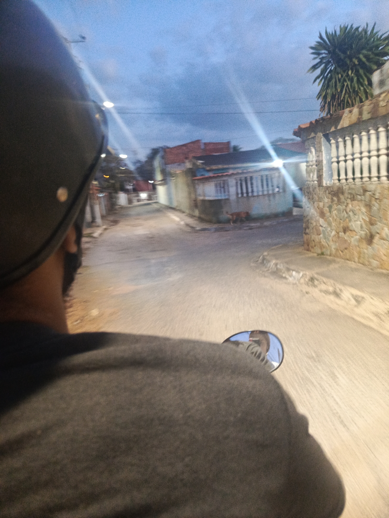 The image presents a first-person perspective from someone riding a motorcycle or similar vehicle down a street during dusk or early night. The back of a person's head, encased in a dark helmet, is prominent on the left side of the frame, with their grey jacket or sweatshirt visible below. A rearview mirror, partially visible on the lower right, reflects what appears to be the driver's face or upper body.
The scene depicts a residential street with houses on both sides. On the right, a house features a stone-clad wall base topped with a white balustrade fence. A large, bushy palm tree rises above this structure, silhouetted against the dark blue sky. On the left, other houses with windows line the street. A small, brown dog is visible walking on the street in the distance, near one of the houses.
Bright streetlights illuminate the area, casting strong light flares across the image, emphasizing the low-light conditions. Power lines are faintly visible against the sky. The road is paved, and a sidewalk is present on the right. The overall atmosphere is quiet, suggesting an evening journey through a local neighborhood in a town setting, such as Juan Griego, Venezuela. There is no visible text in the image.