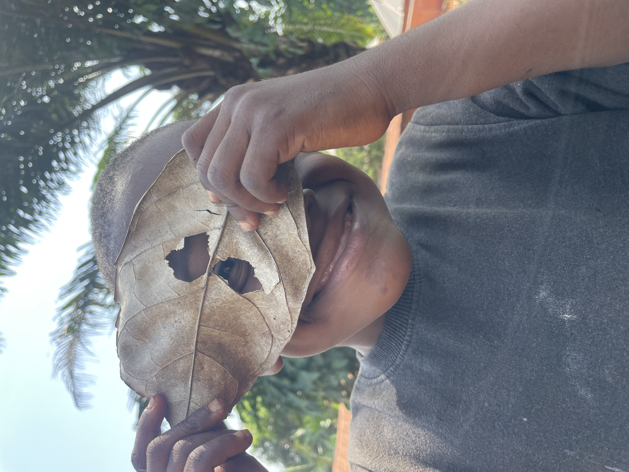 The image displays a close-up, vertical shot of a person, likely a child, playfully holding a large, dry, brown leaf in front of their face as a makeshift mask. The subject has dark skin and is wearing a dark grey long-sleeved shirt or sweatshirt. Their short, dark hair is visible above the leaf. Both hands, also dark-skinned, grasp the edges of the leaf to hold it in place.
The leaf itself is large and aged, exhibiting distinct veins and a dry, brittle appearance. It contains two prominent, irregularly torn holes. Through one of these holes, a dark eye of the person is visible, conveying a sense of playfulness or curiosity. The person's mouth and chin are partially visible beneath the lower edge of the leaf, with their lips slightly parted.
The background is an outdoor setting, brightly illuminated by natural light, indicating daytime. Out-of-focus elements of palm tree fronds are visible against a bright, clear sky, suggesting a tropical or subtropical environment consistent with the Ogbe, Nigeria location context. The blurry background creates a shallow depth of field, keeping the focus squarely on the person and the leaf. There is no visible text in the image. The scene captures a moment of simple, joyful interaction with nature.
