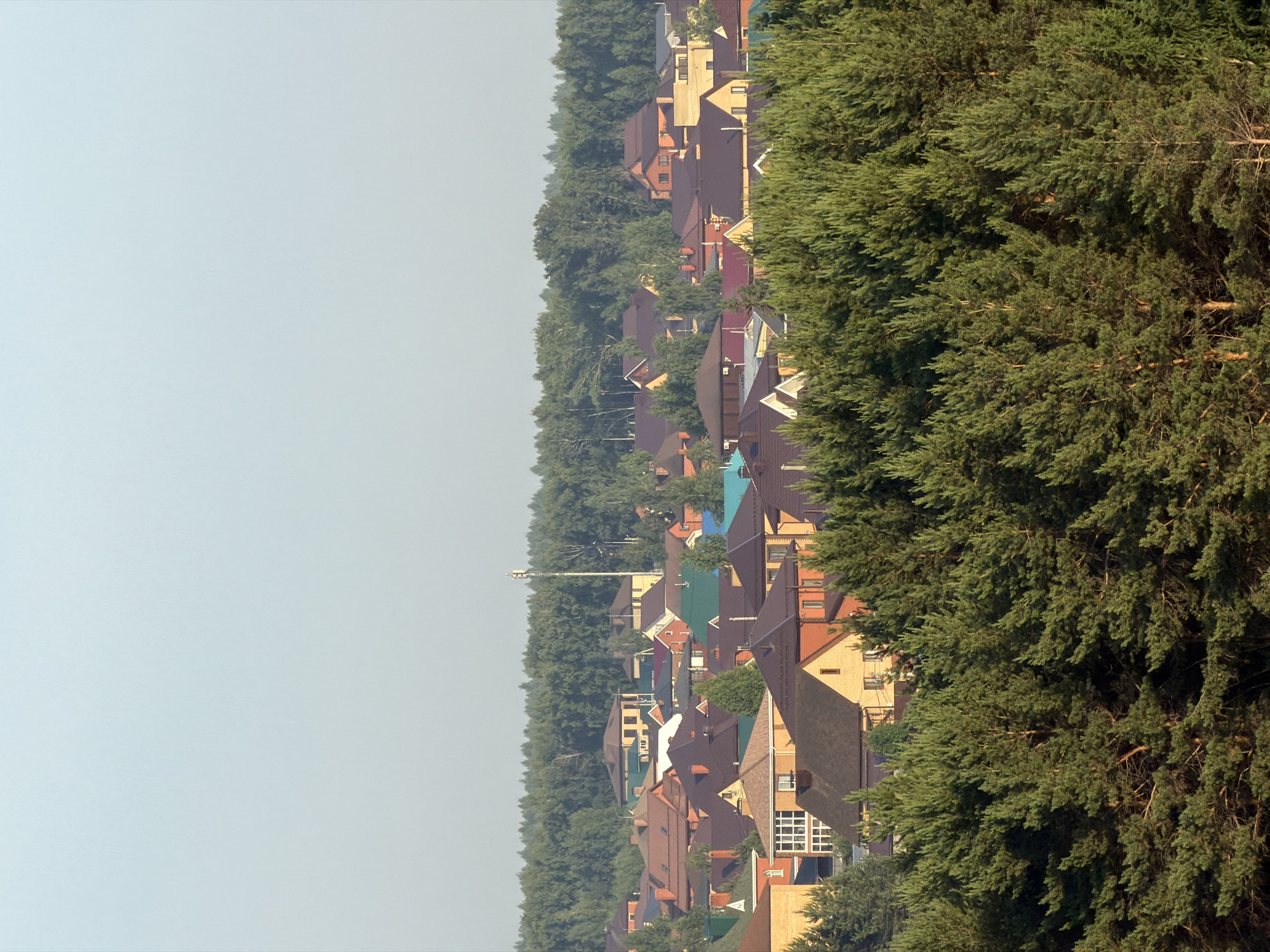 The image shows a panoramic view of a suburban neighborhood with numerous houses nestled among trees. The houses have diverse architectural styles and roof colors, ranging from red and brown to green and blue. Many of the houses appear to be two-story dwellings with visible windows and chimneys. A tall cellular tower stands out in the background amidst a dense forest that stretches across the horizon. The sky is a pale blue, indicating it might be daytime, possibly morning or late afternoon, given the soft lighting. In the foreground, lush green pine trees dominate the lower portion of the image, partially obscuring the view of the houses.