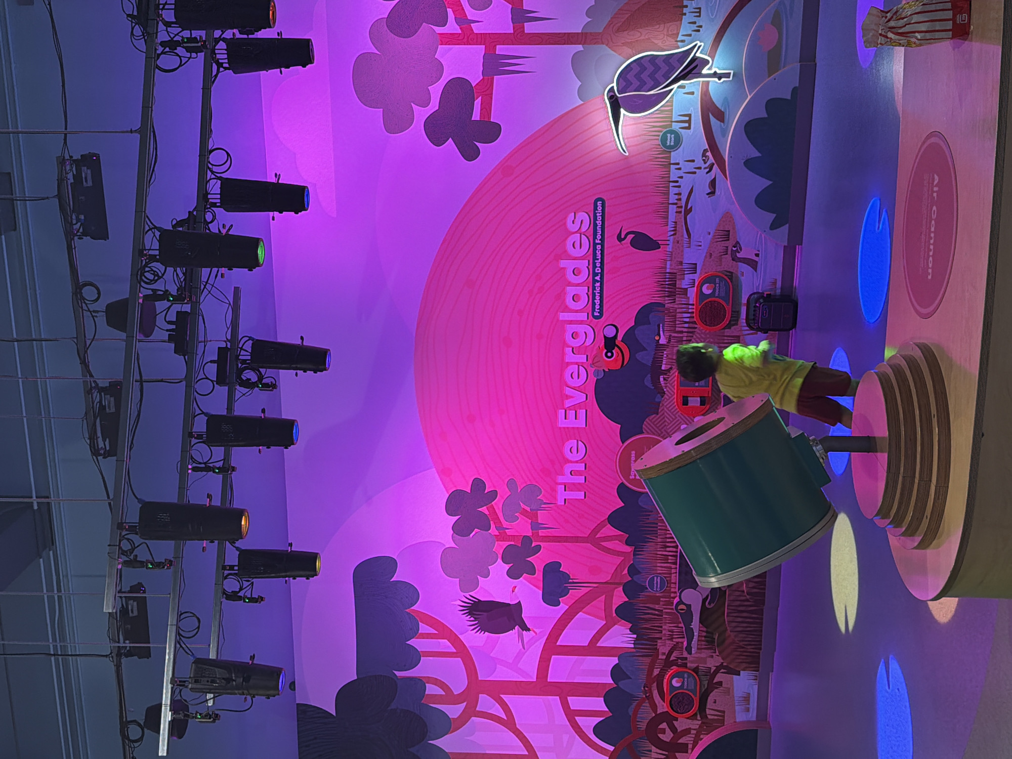 The image depicts an indoor exhibit at the Museum of Discovery and Science in Fort Lauderdale, Florida. The exhibit, themed "The Everglades," features a vibrant, pink-hued backdrop with stylized trees and clouds. In the foreground, a young child wearing a yellow shirt and red shorts is standing, facing away from the camera. To the child's left, a large, green, cylindrical device, likely an interactive exhibit component, is angled upwards. The floor is lit with colorful projected circles of light, including blue and yellow. In the background, cutouts of various Everglades wildlife, such as alligators and birds, are visible against the illuminated mural. Overhead, theatrical lighting fixtures are suspended from a grid. A bag of popcorn is visible on the right side of the image.